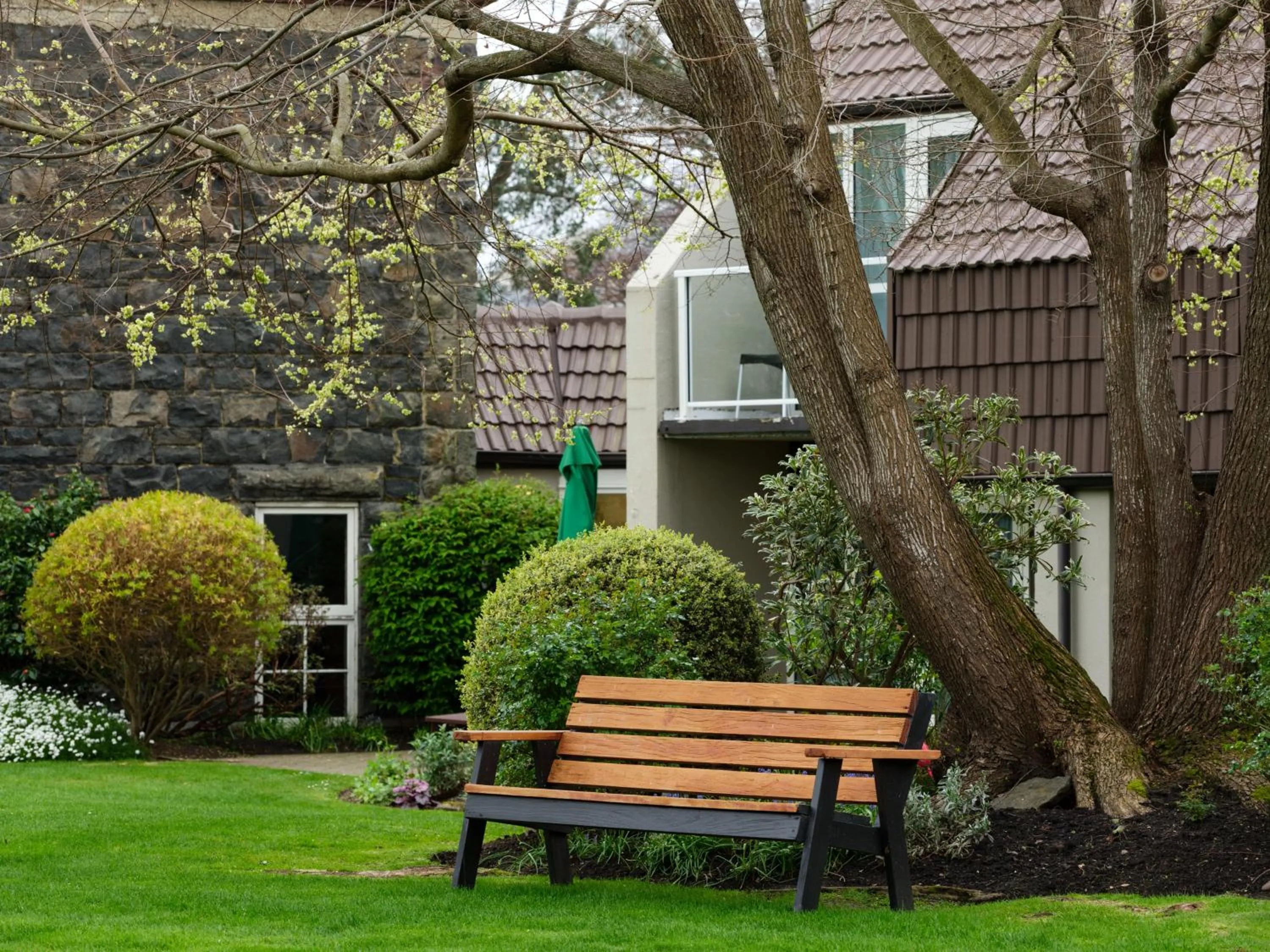 Garden in Dunedin Leisure Lodge - Distinction