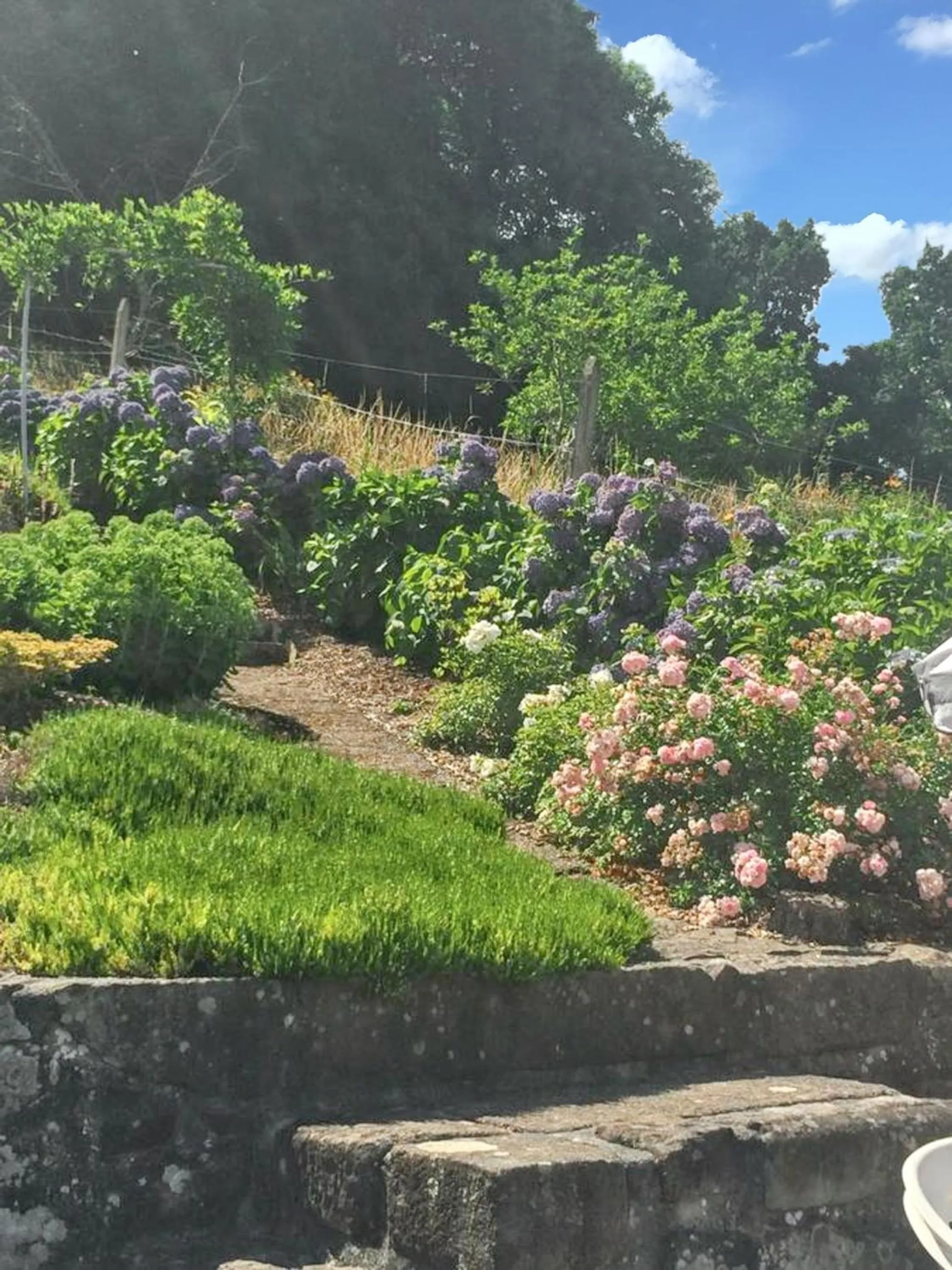 Garden in Maison confortable à Châteaulin avec jardin et terrasse.