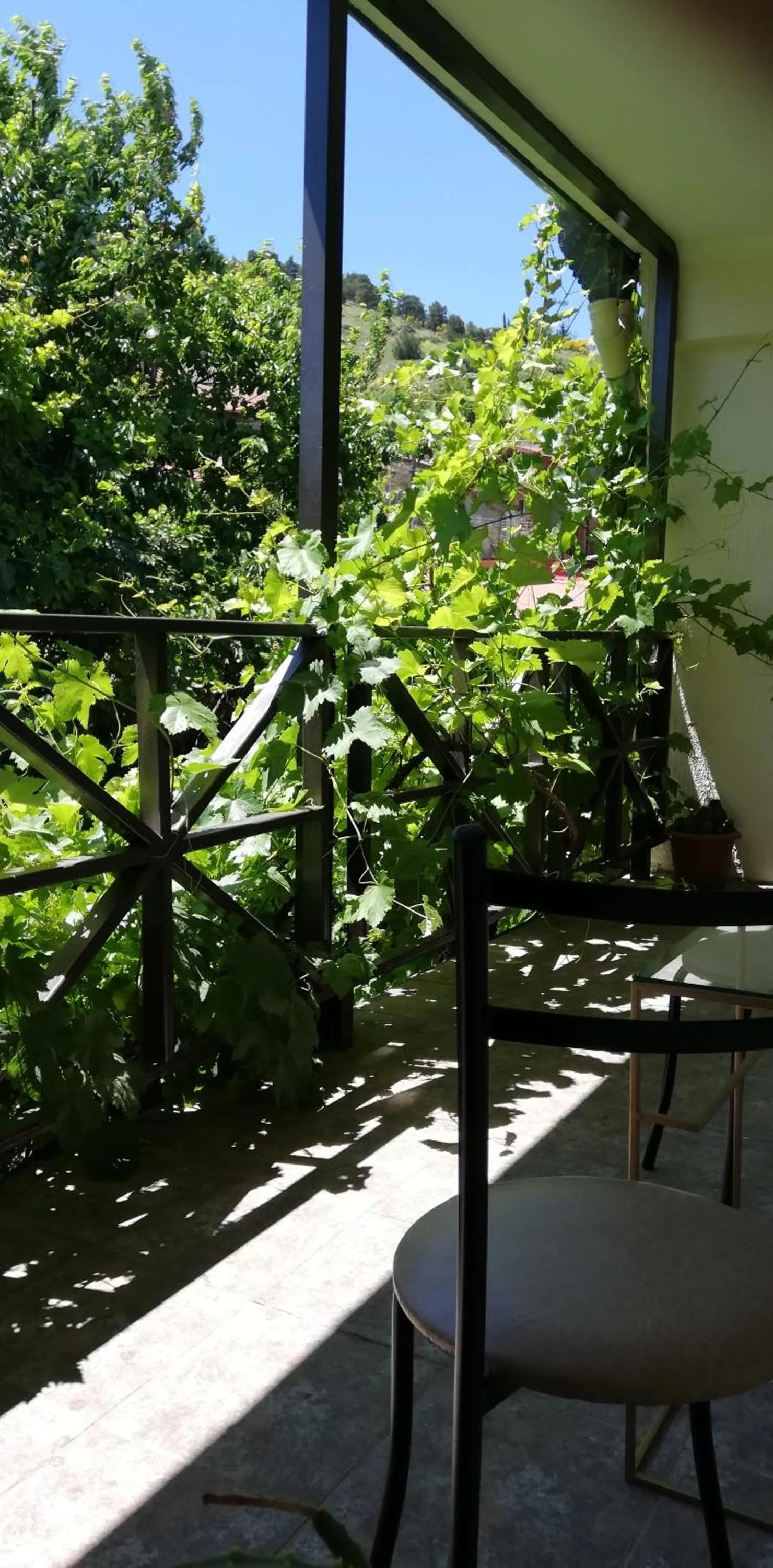 Omart Hotel - Gallery