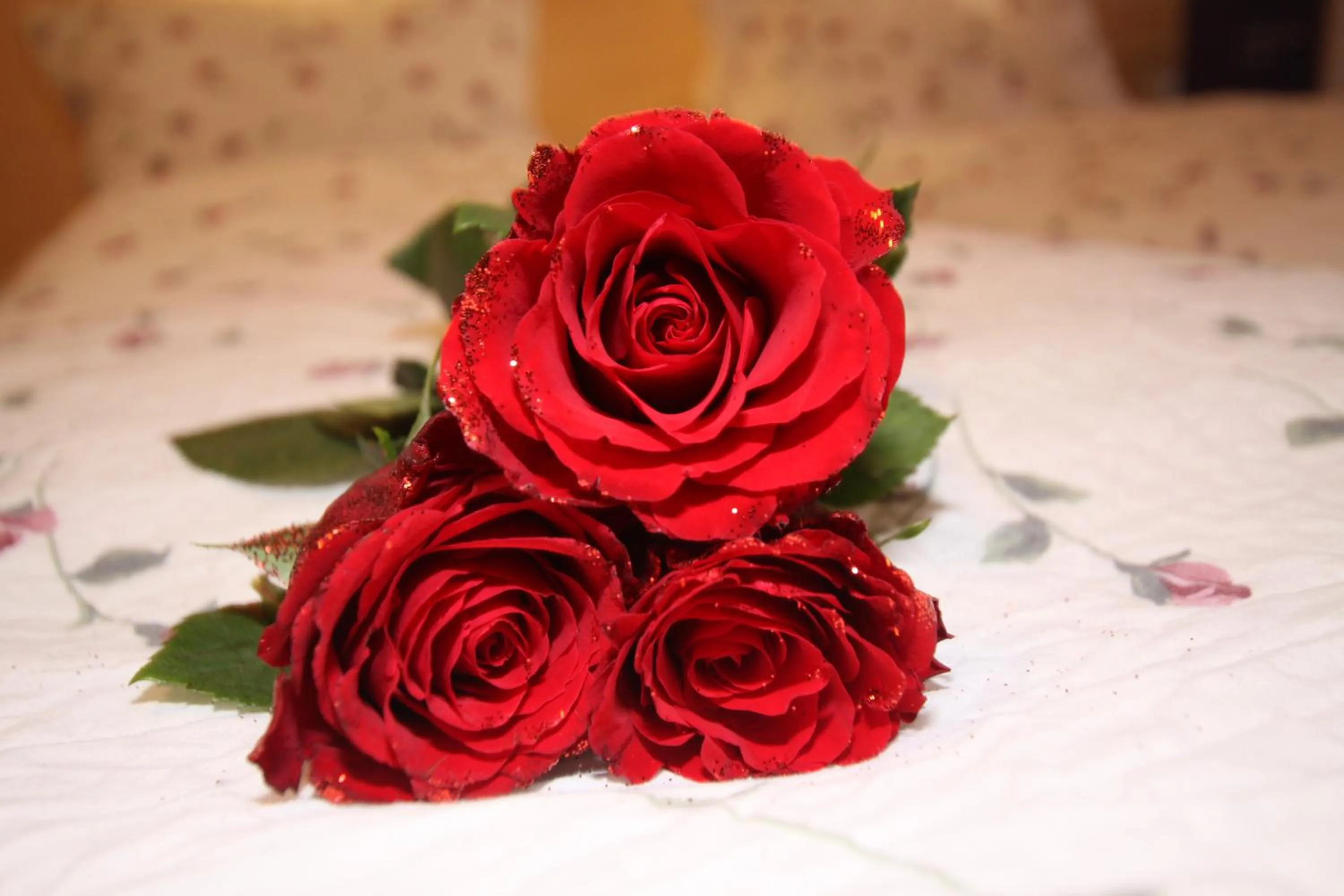 Other in Gästeheim Anni Winkler