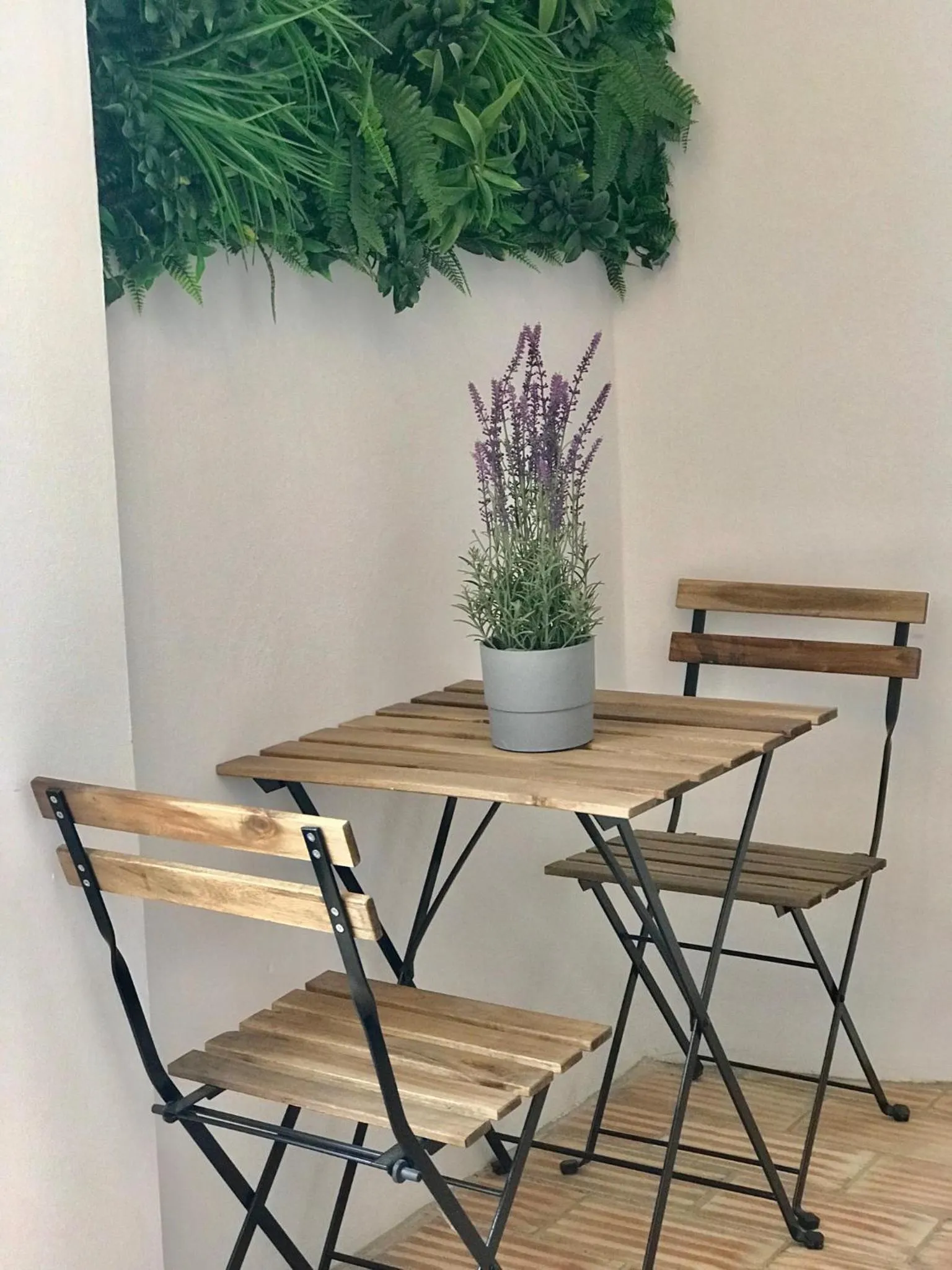 Patio in Alameda Exclusive House