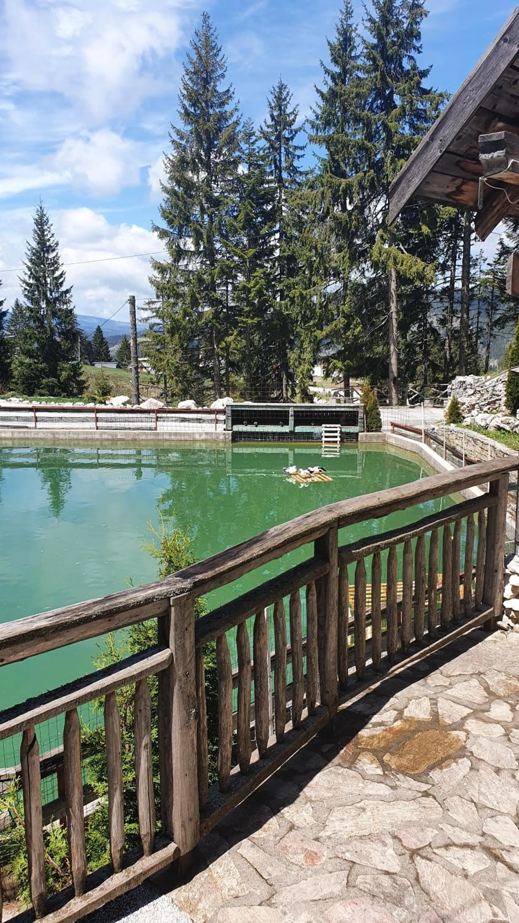 Lake view in Eko-FIS Vlašić