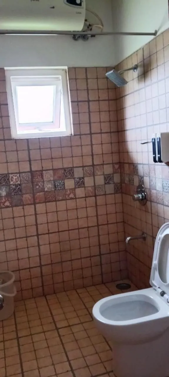 Toilet in The Realm