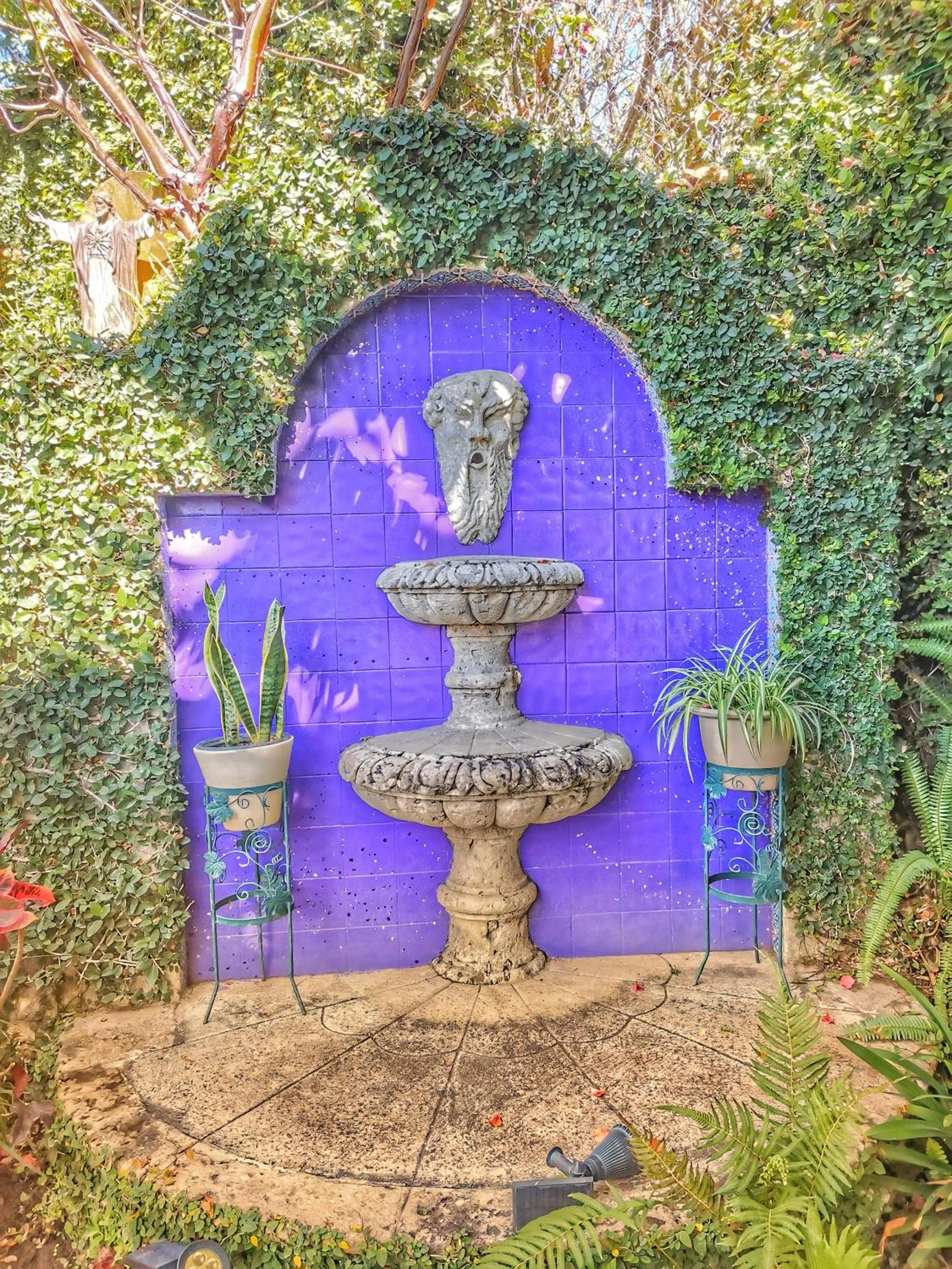 Garden in Hacienda del Lago Boutique Hotel