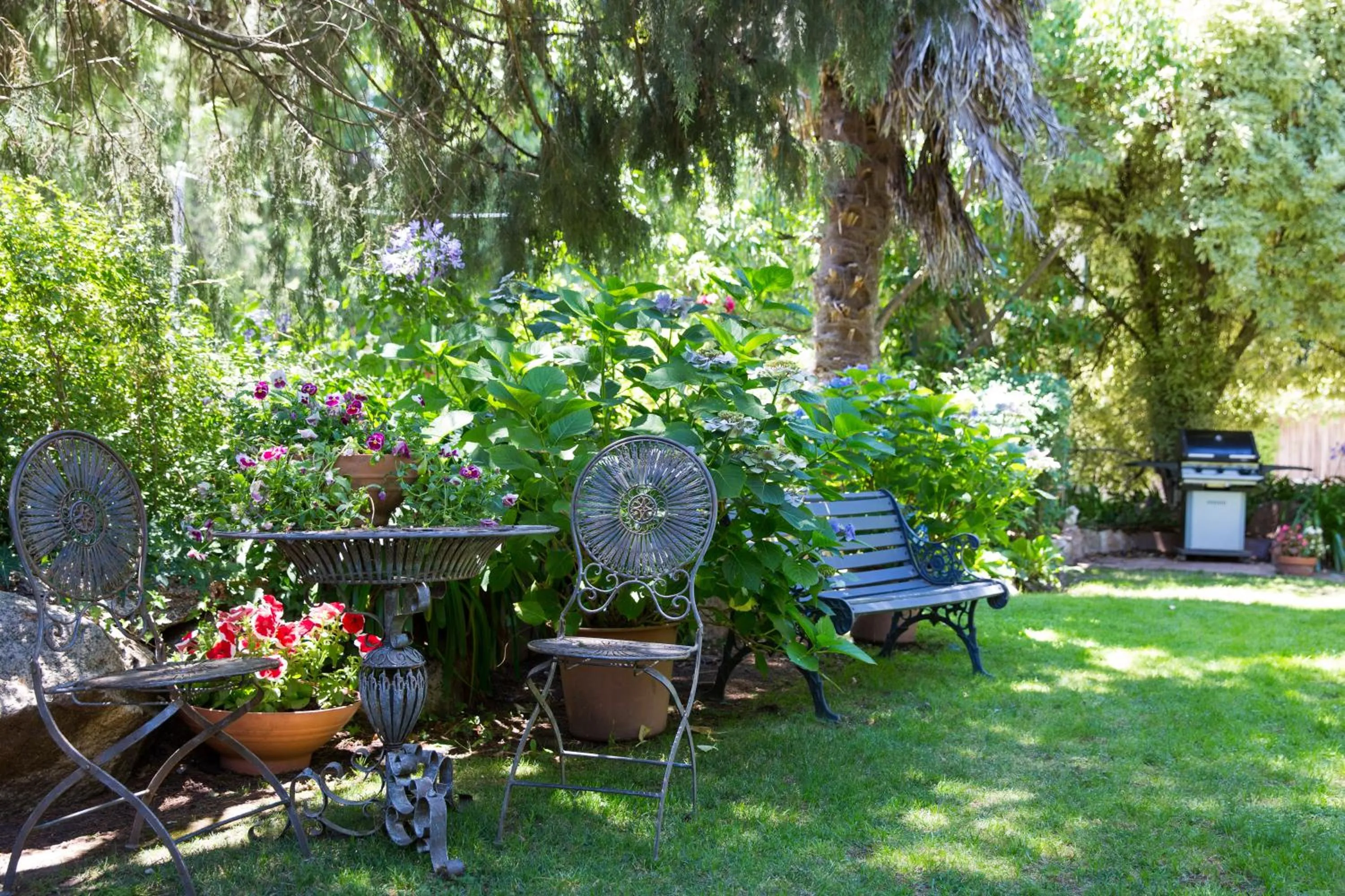 Garden in Armour Motor Inn