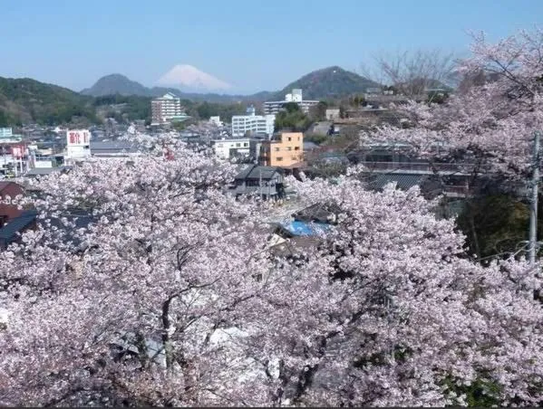 View (from property/room) in Kameya Ean