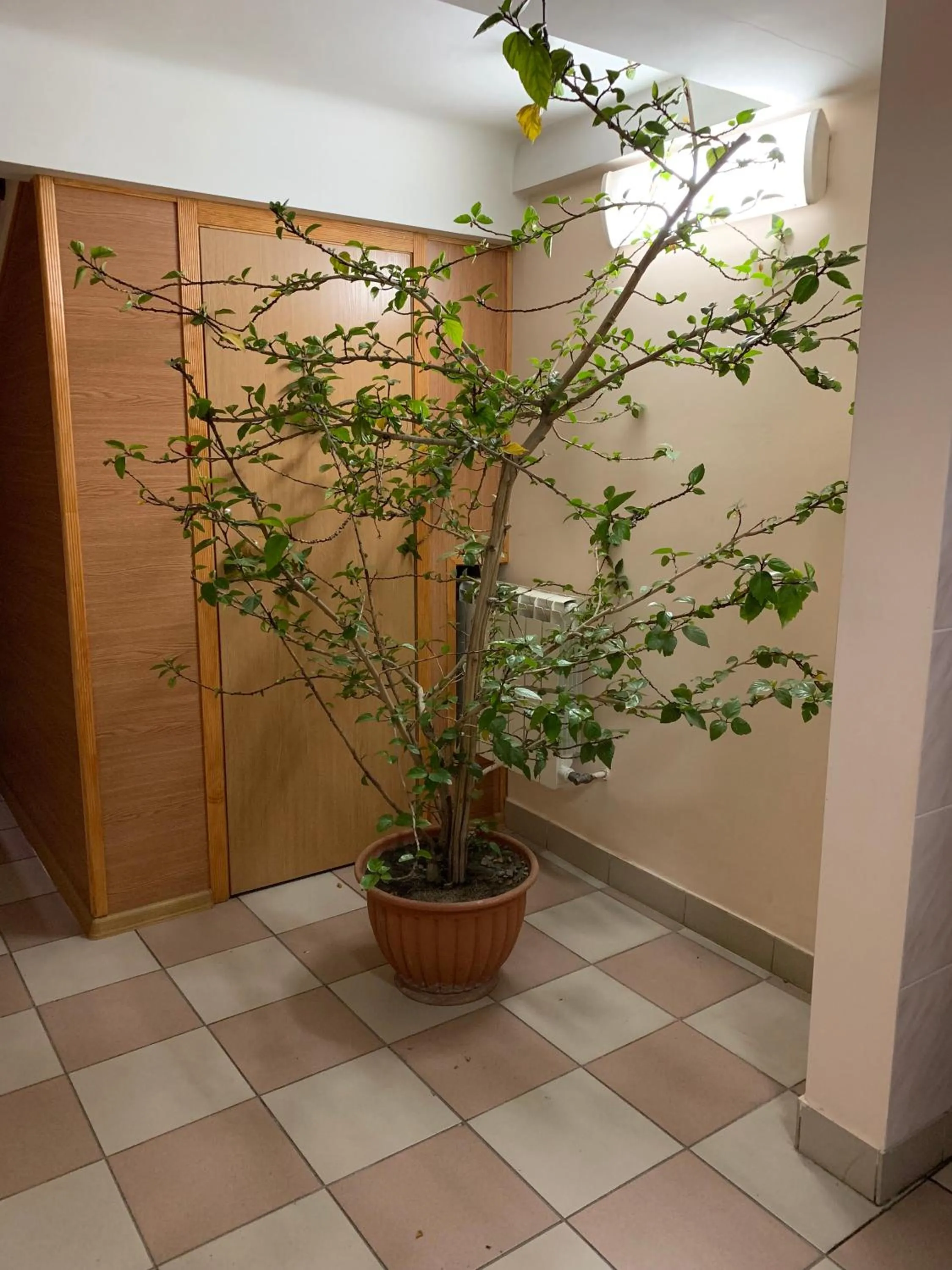 Other in Inn on Zhytomyrska