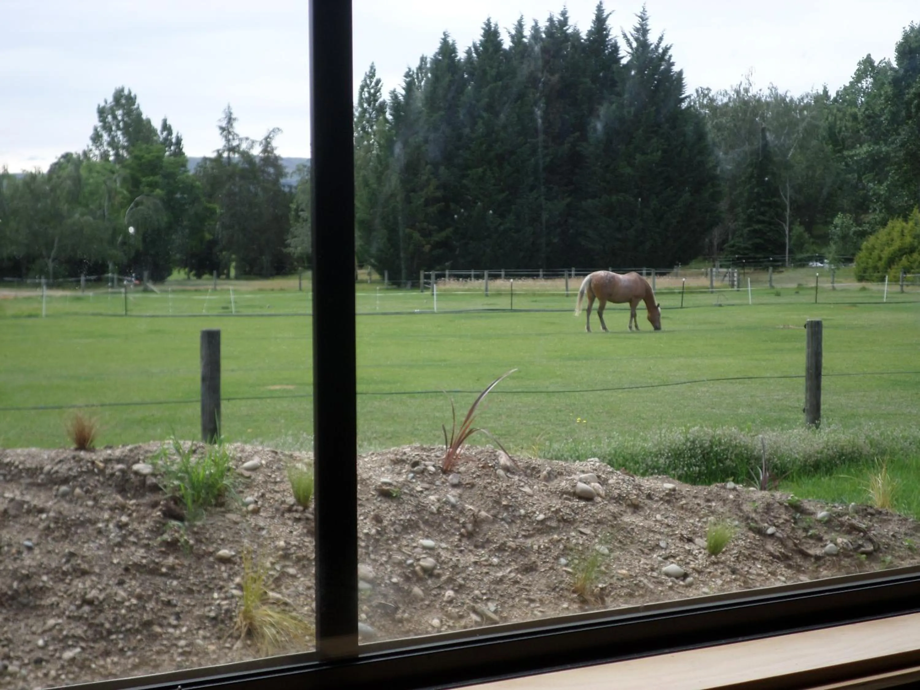 Garden in Central Chalets Ltd