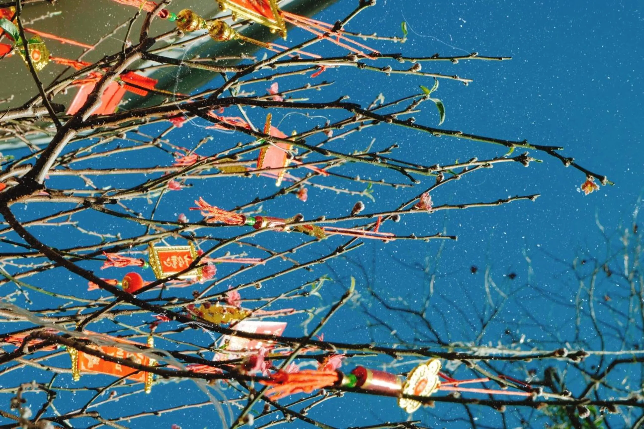 Property building in An Garden Dalat