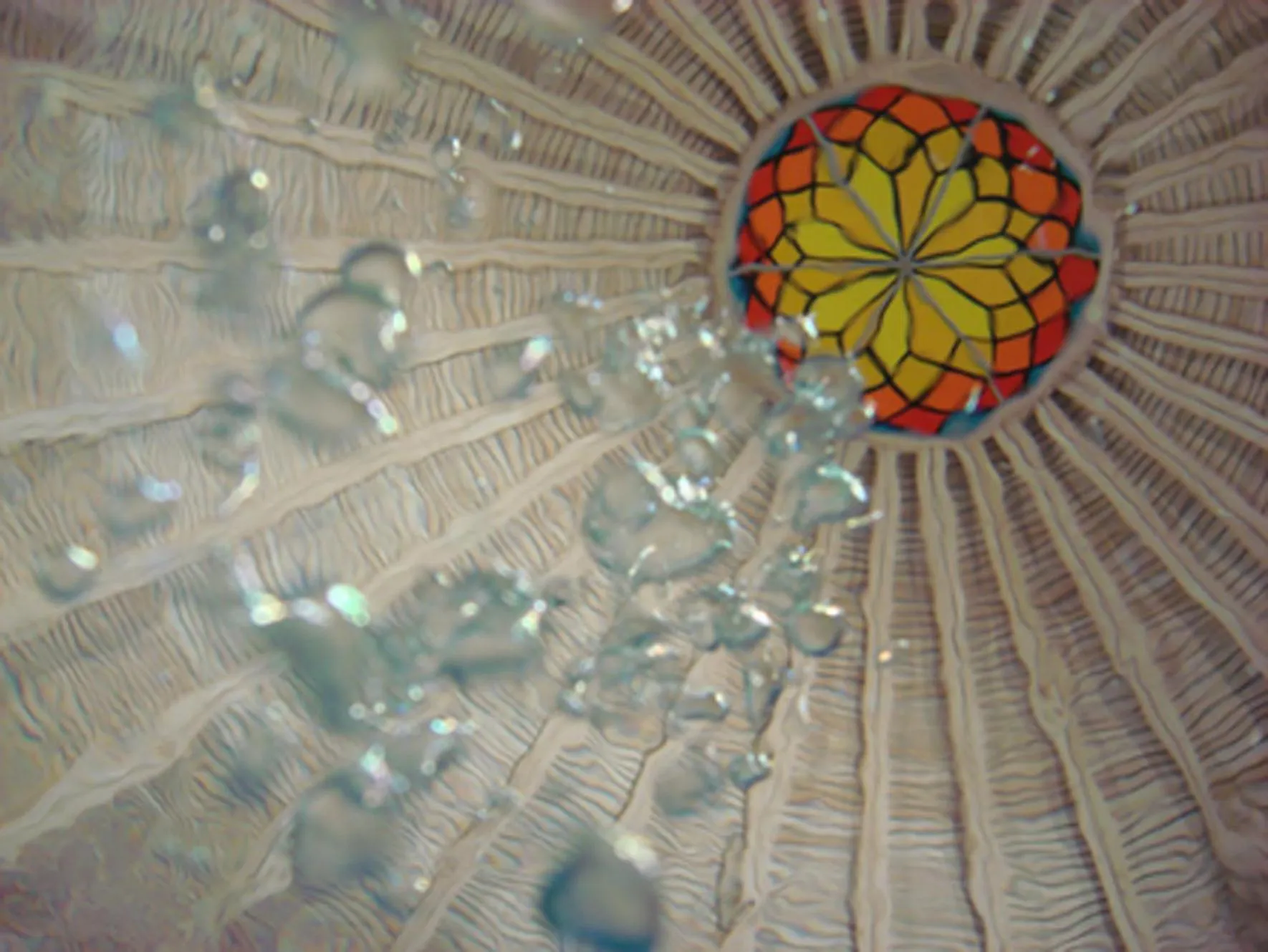 Swimming pool in Hotel an der Therme Bad Sulza