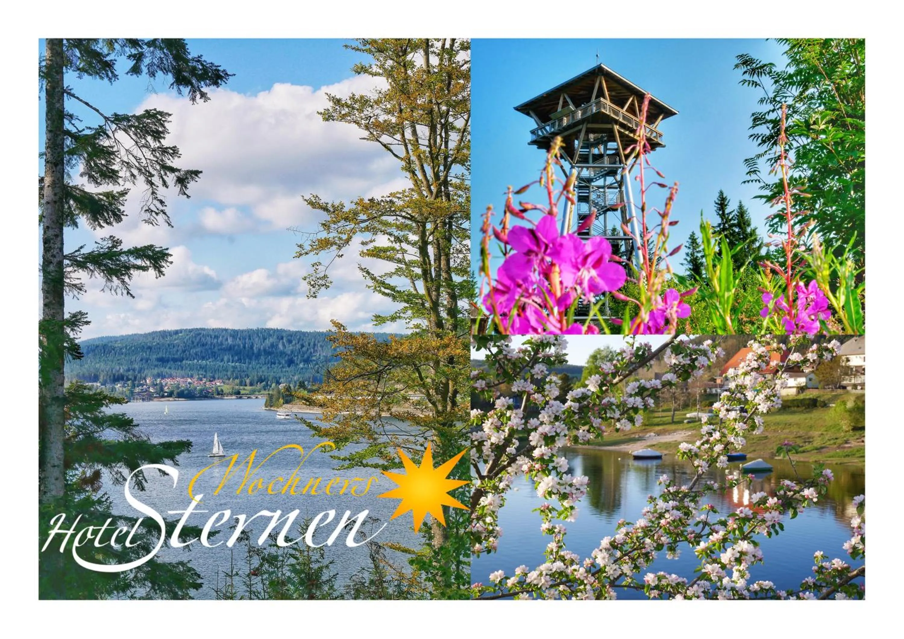 Natural landscape in Wochner's Hotel-Sternen Am Schluchsee Hochschwarzwald