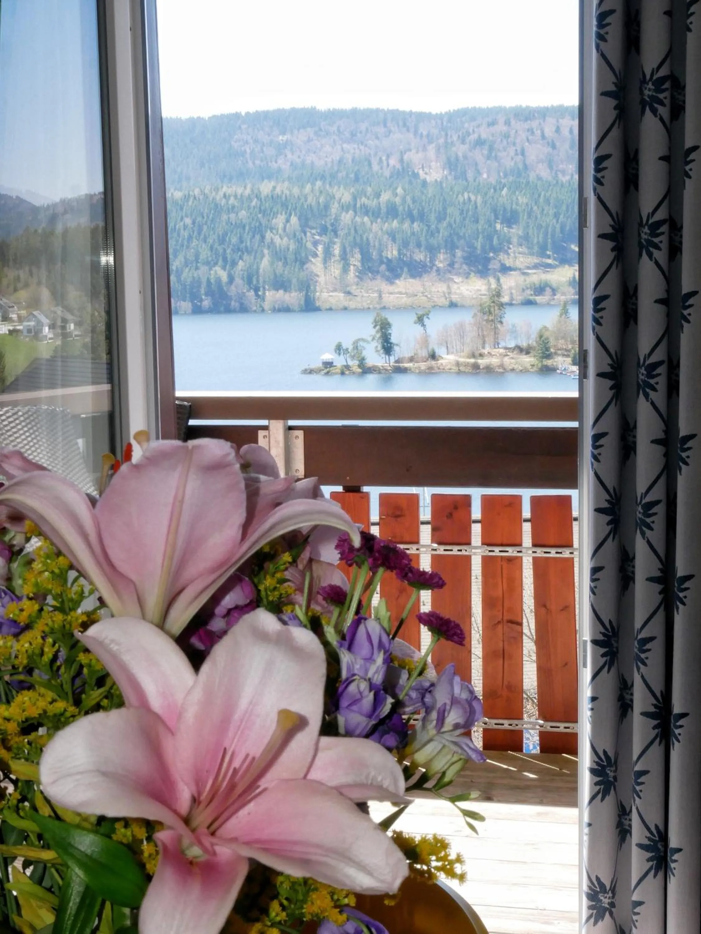 View (from property/room) in Wochner's Hotel-Sternen Am Schluchsee Hochschwarzwald