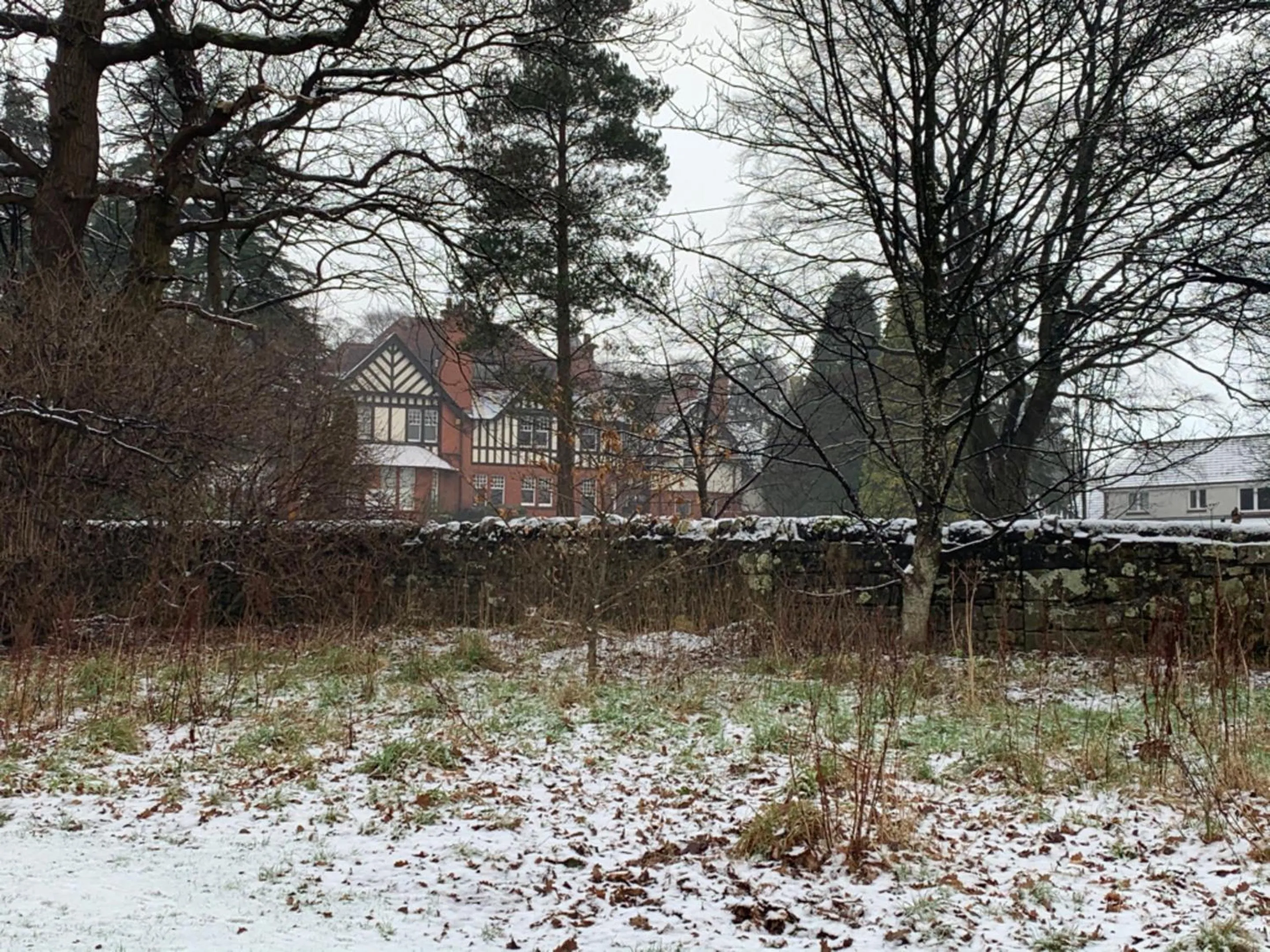 Natural landscape in OYO Dunmar House Hotel