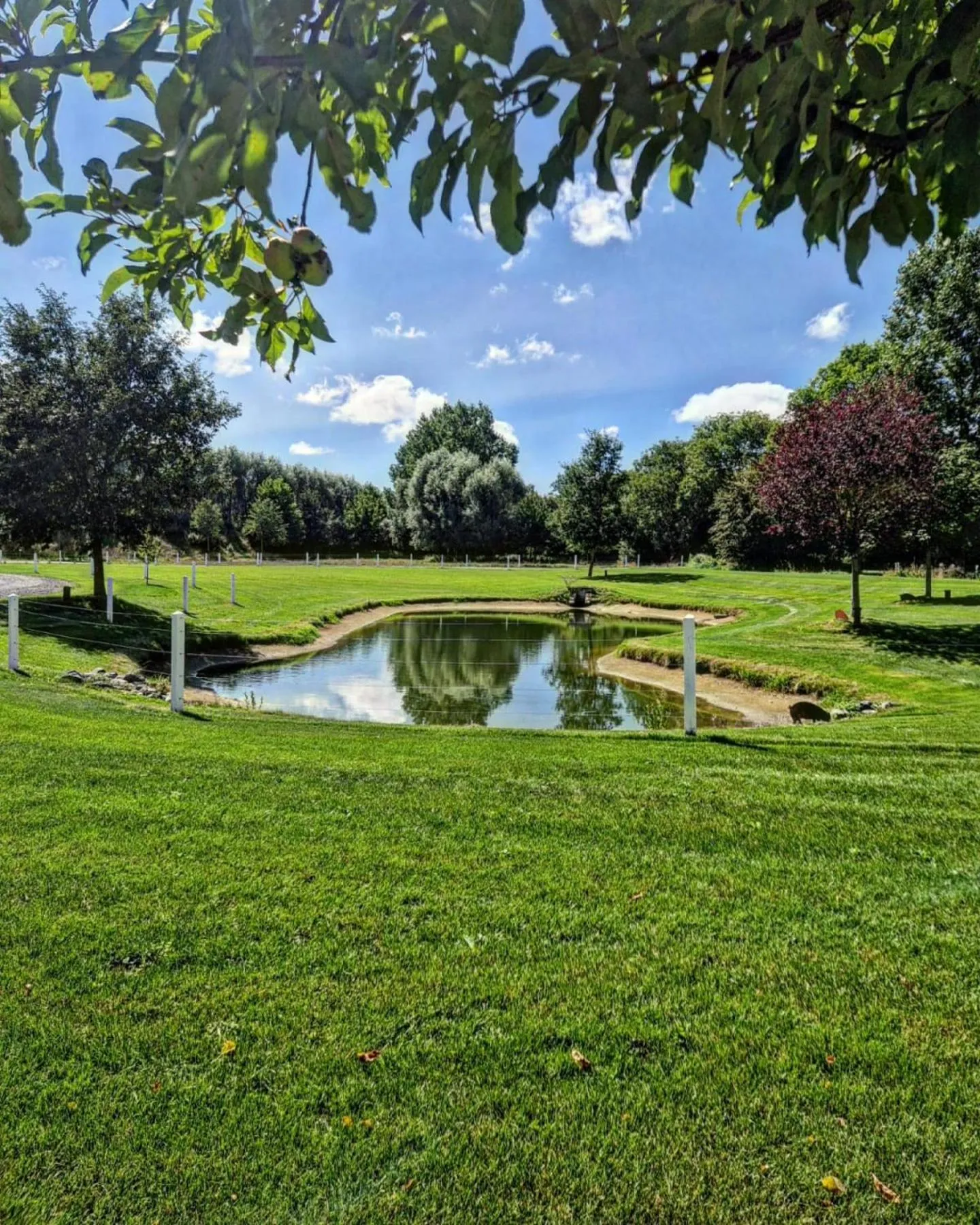 Natural landscape in Ferme Delgueule