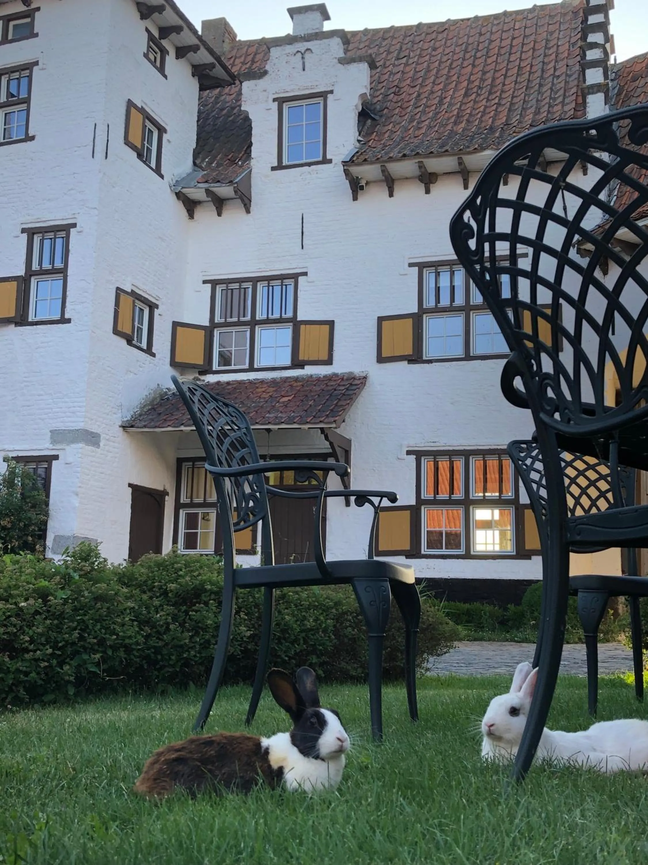 Property building in Ferme Delgueule