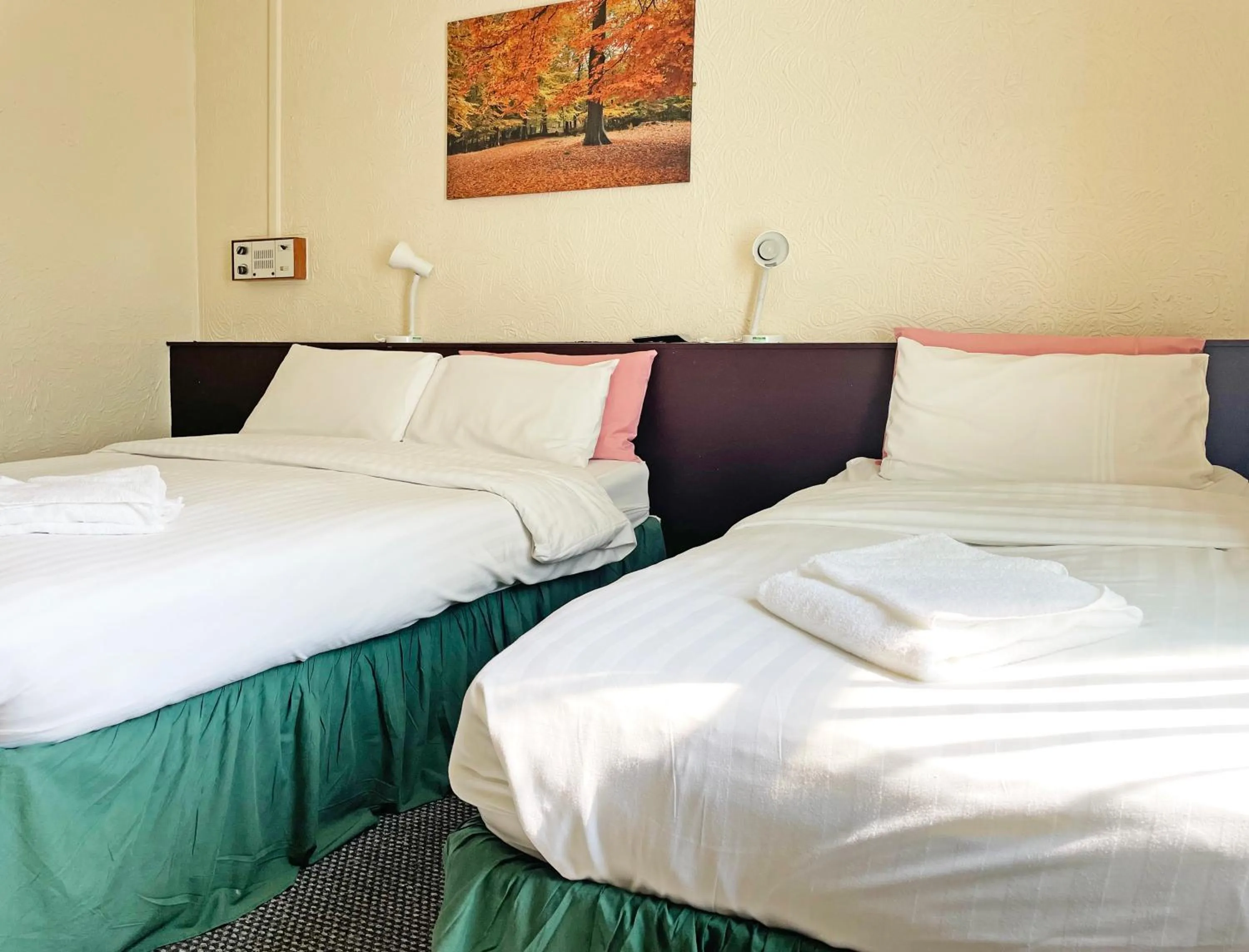 Bed in The Helmshore