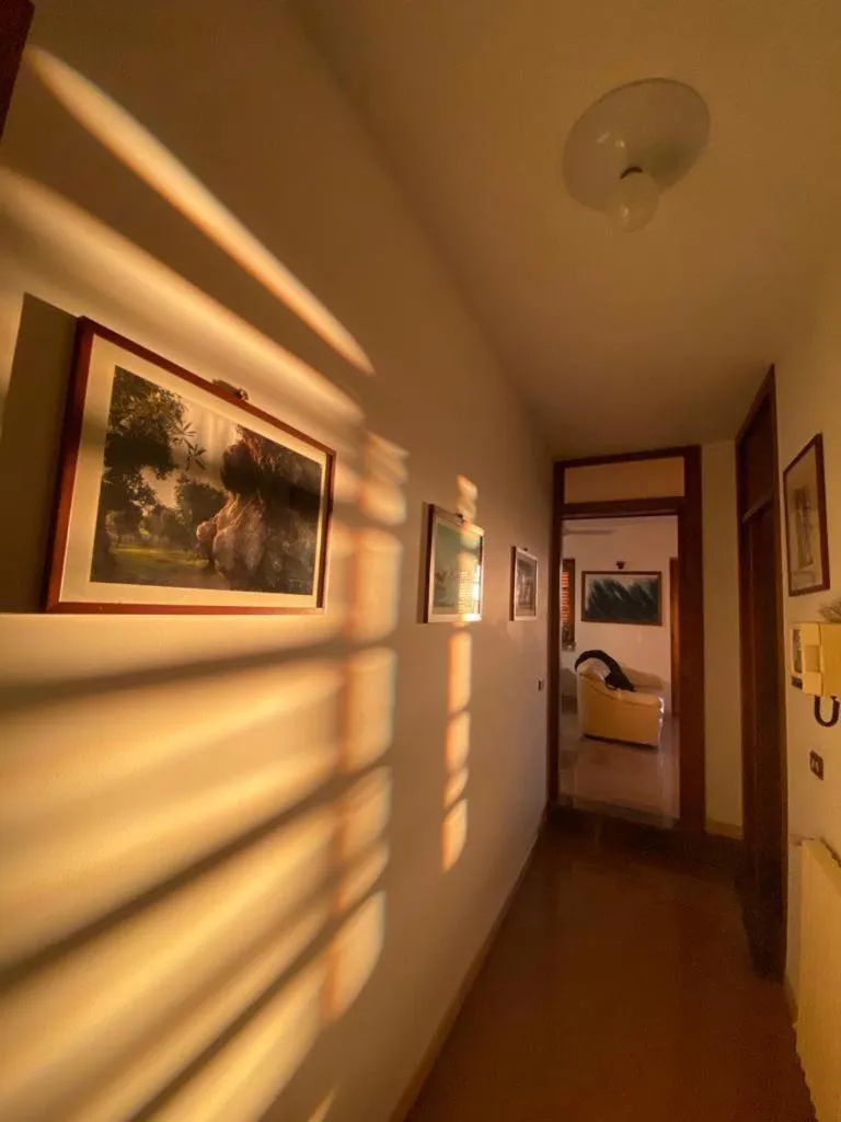 B&B Stars and Stripes