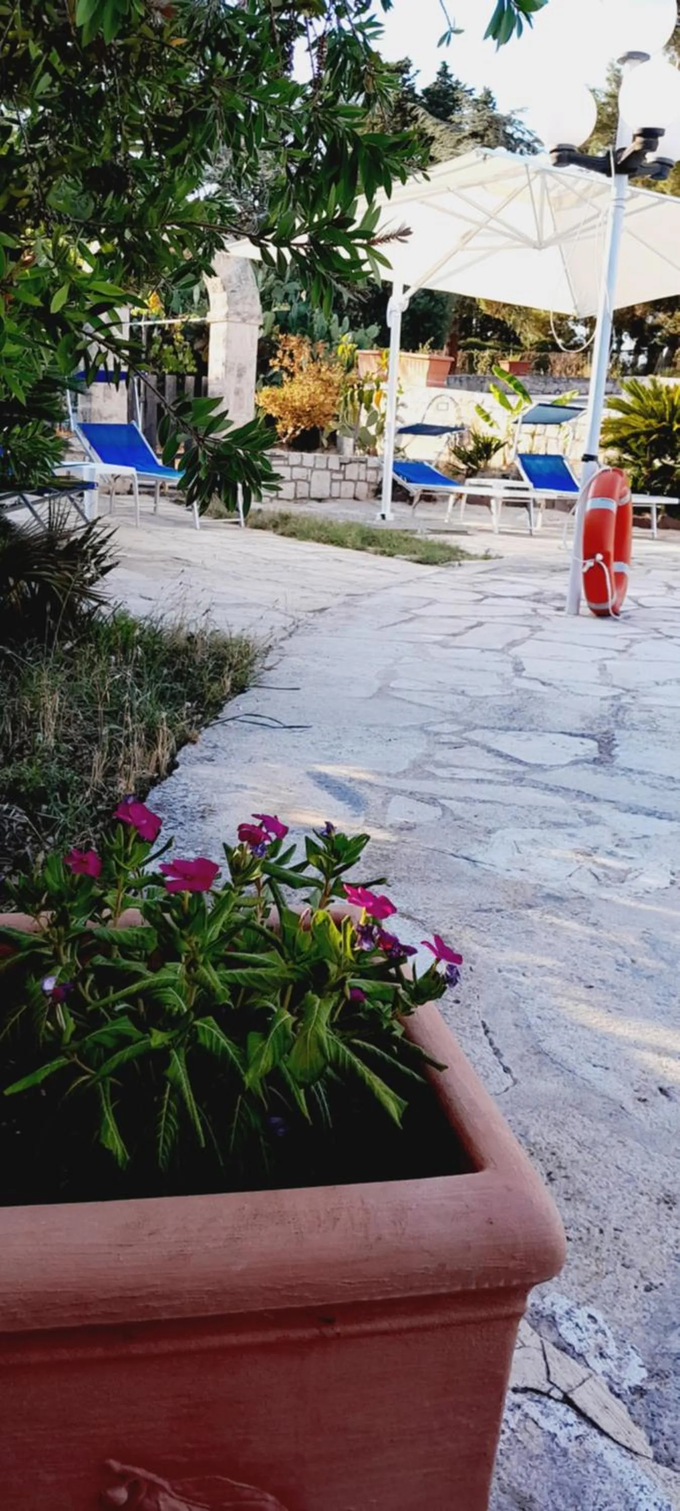 B&B Stars and Stripes