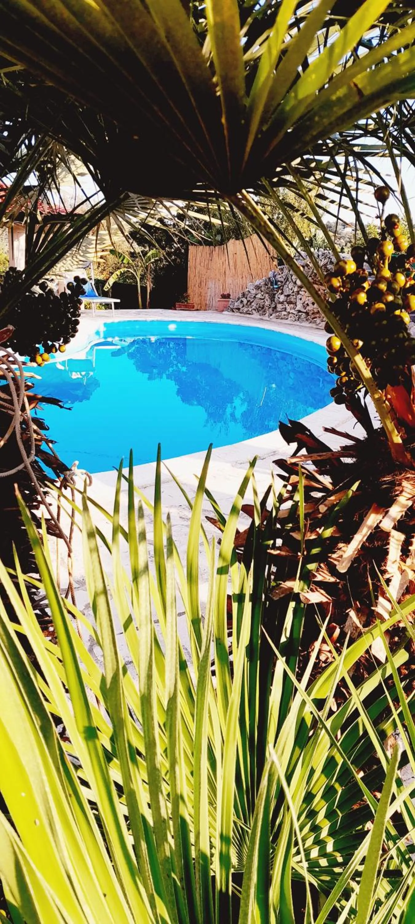 Swimming pool in B&B Stars and Stripes