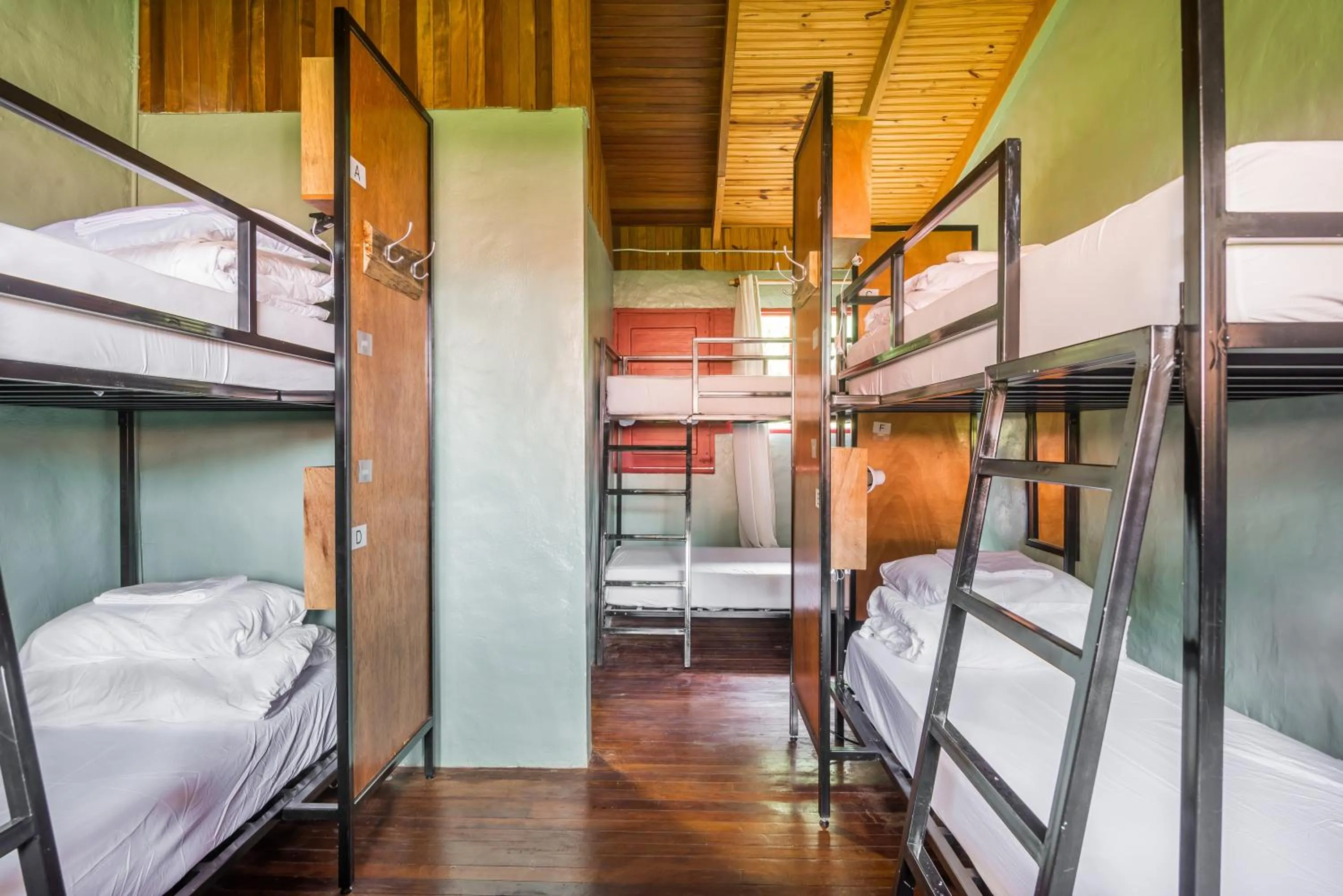 Private 6-Bed Room in Selina Monteverde