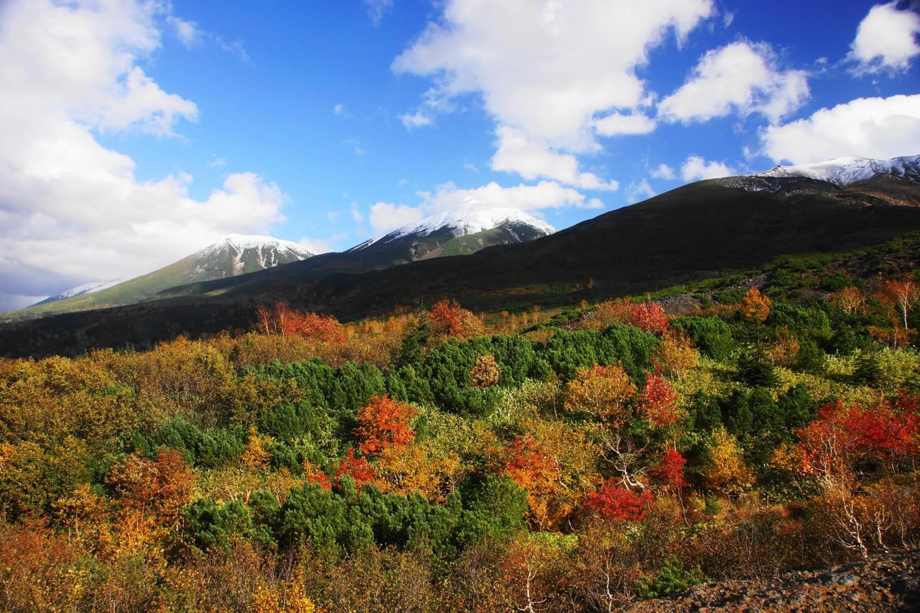 Natural landscape in Pension Ashitaya