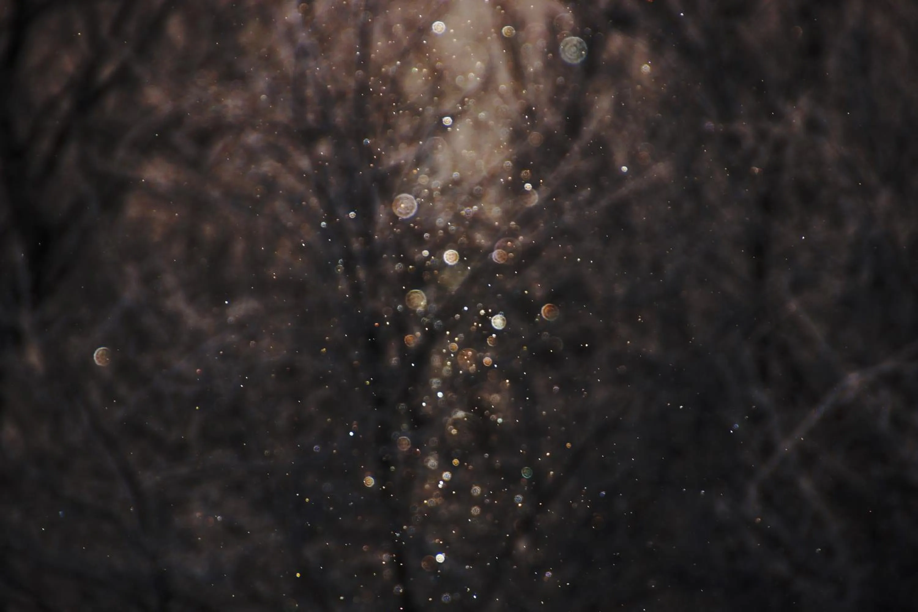 Natural landscape in Pension Ashitaya