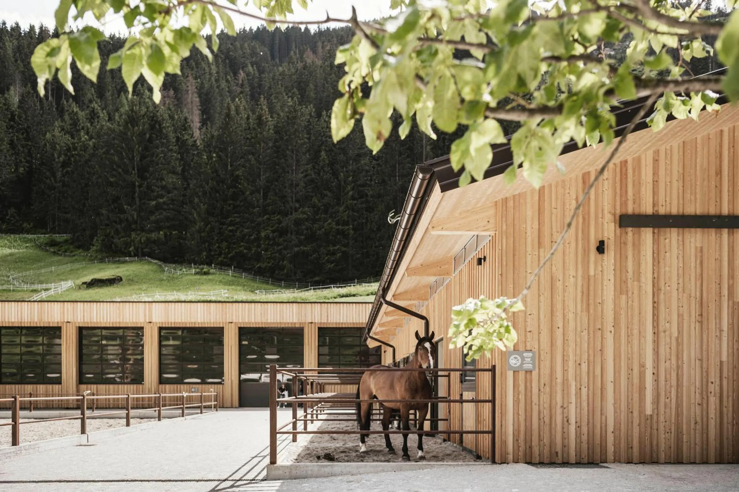 Horse-riding in Feuerstein Nature Family Resort