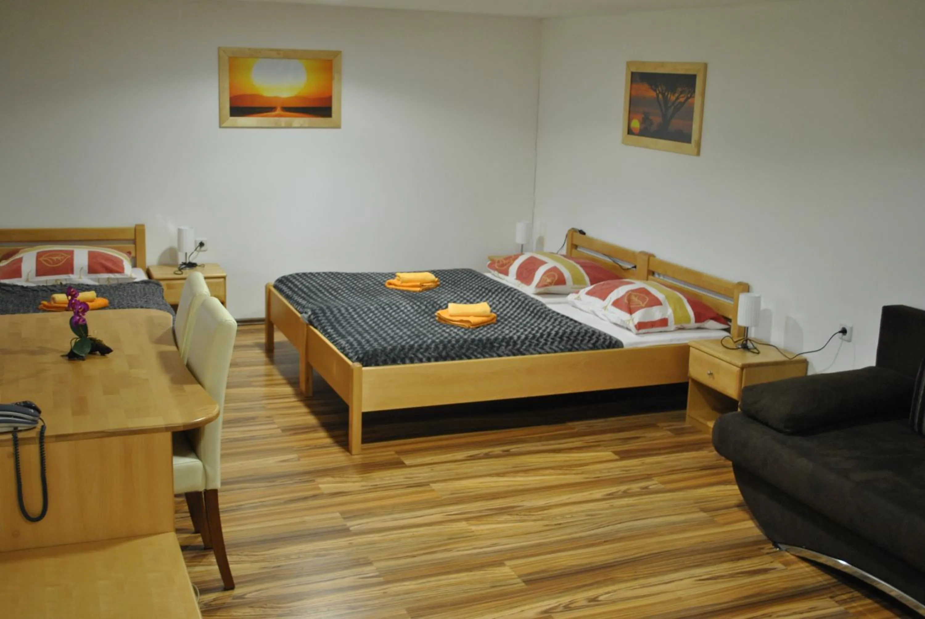 Guest House Čater