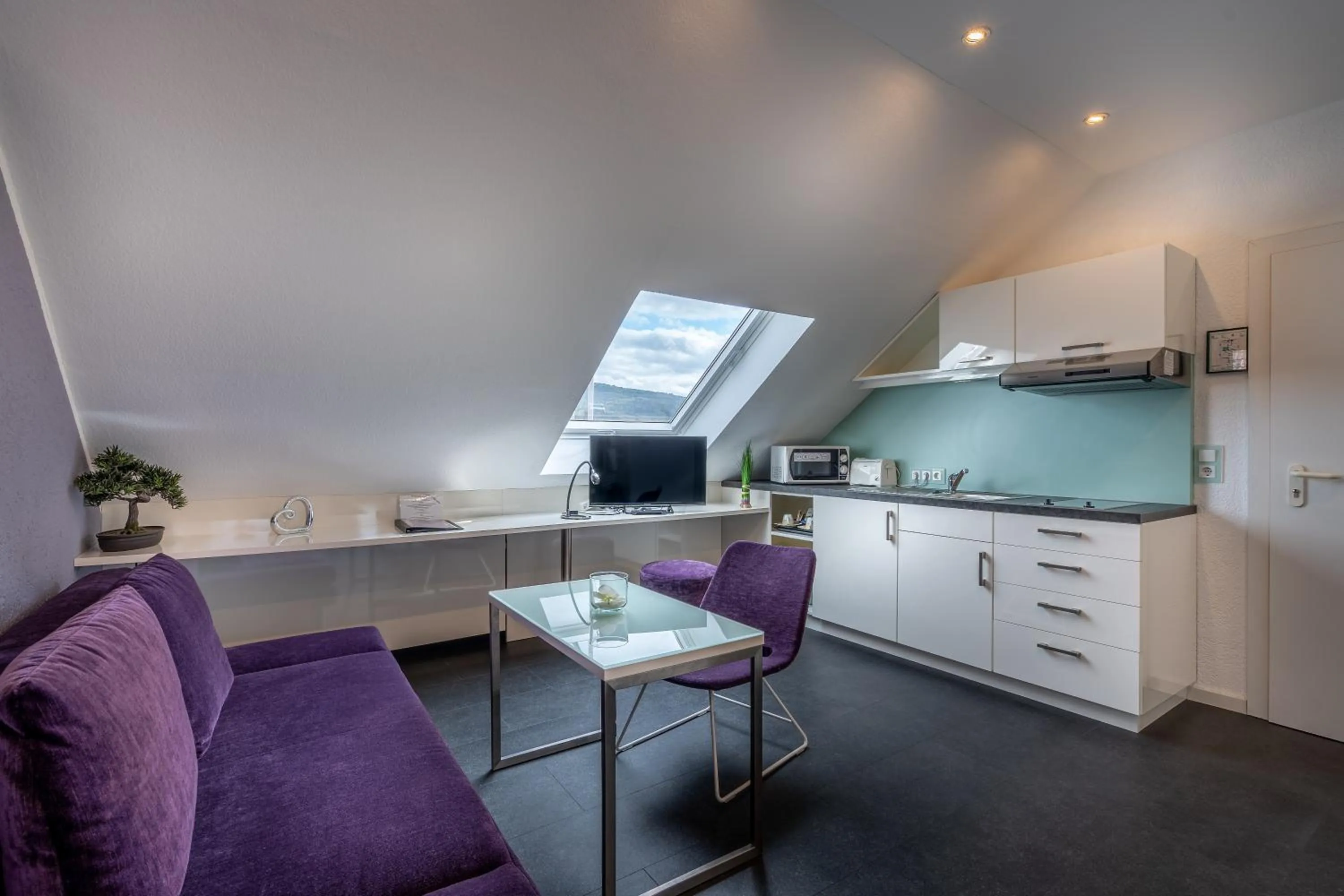 TV and multimedia in Hotel Stadt Heidelberg