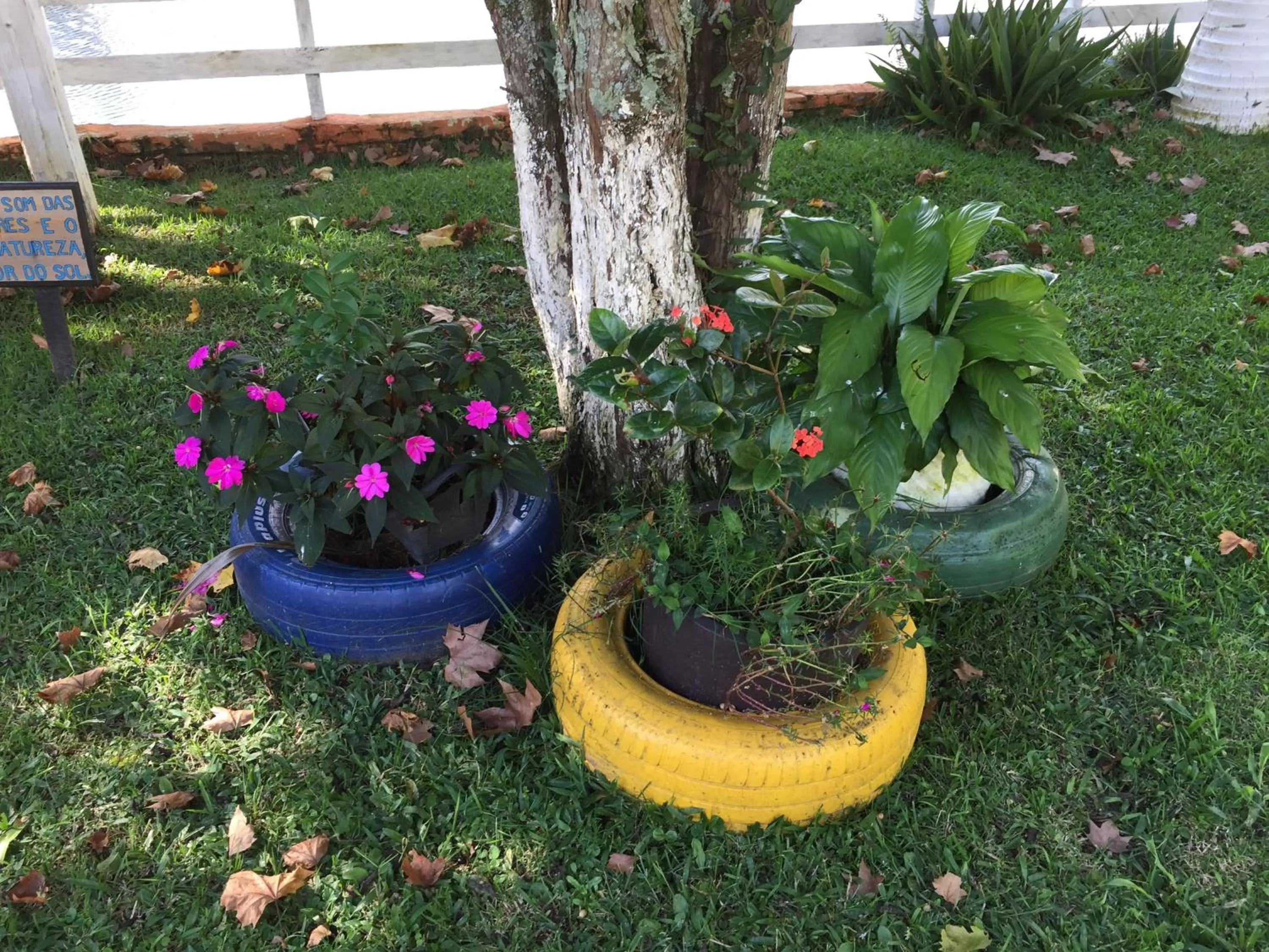 Fazenda Chico Pereira