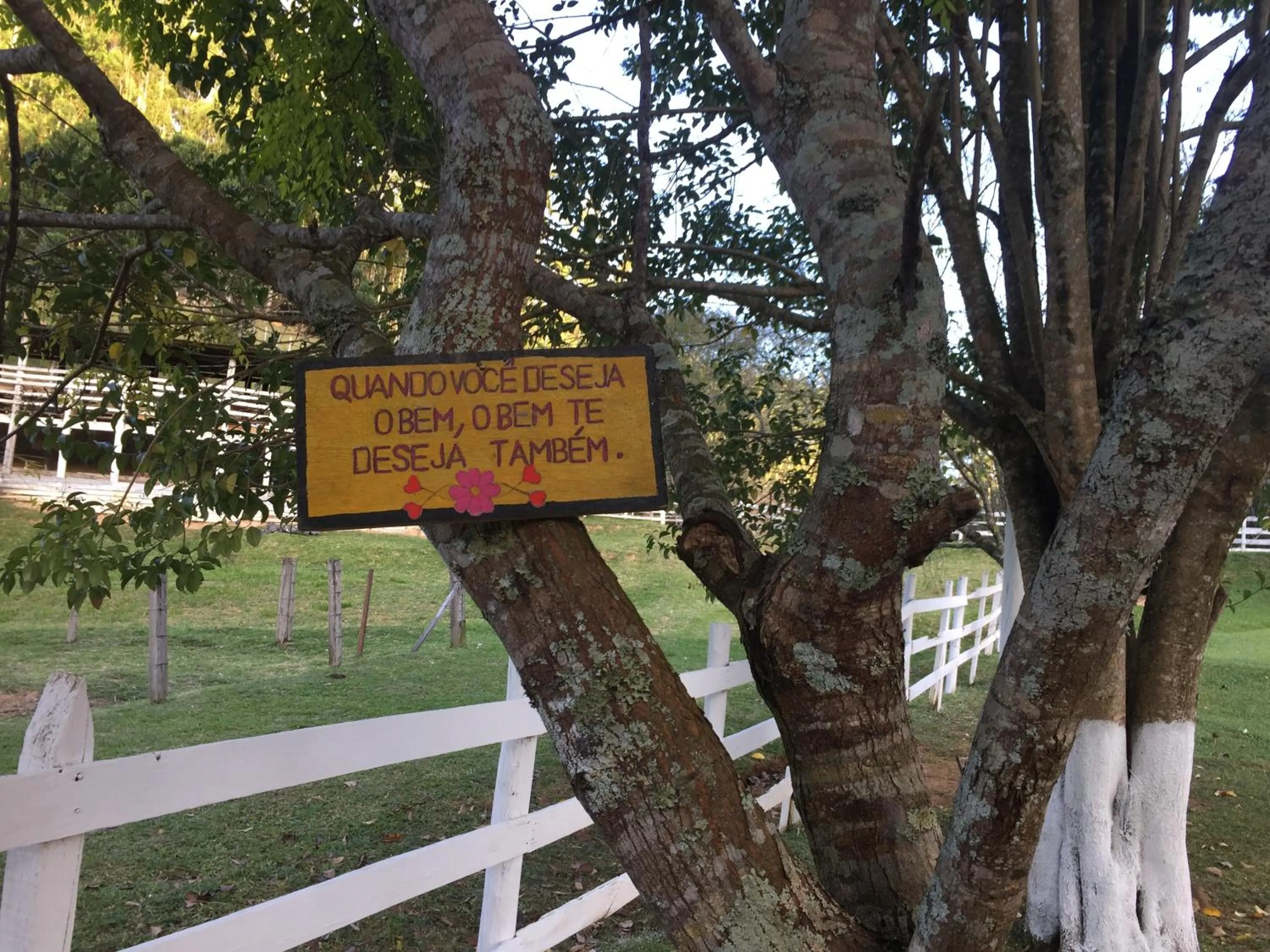 Fazenda Chico Pereira
