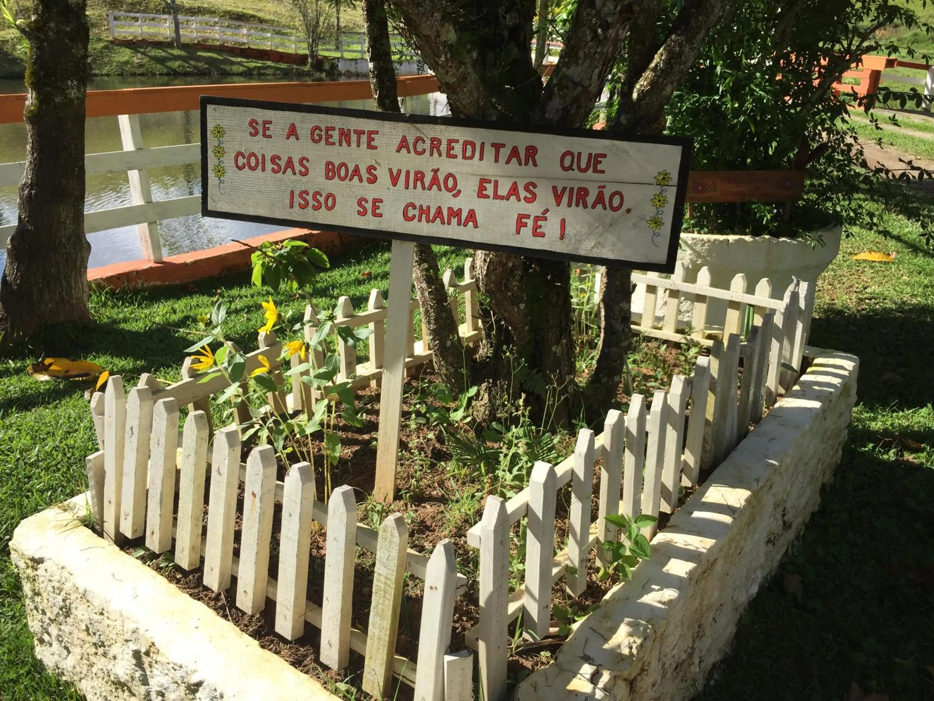 Fazenda Chico Pereira