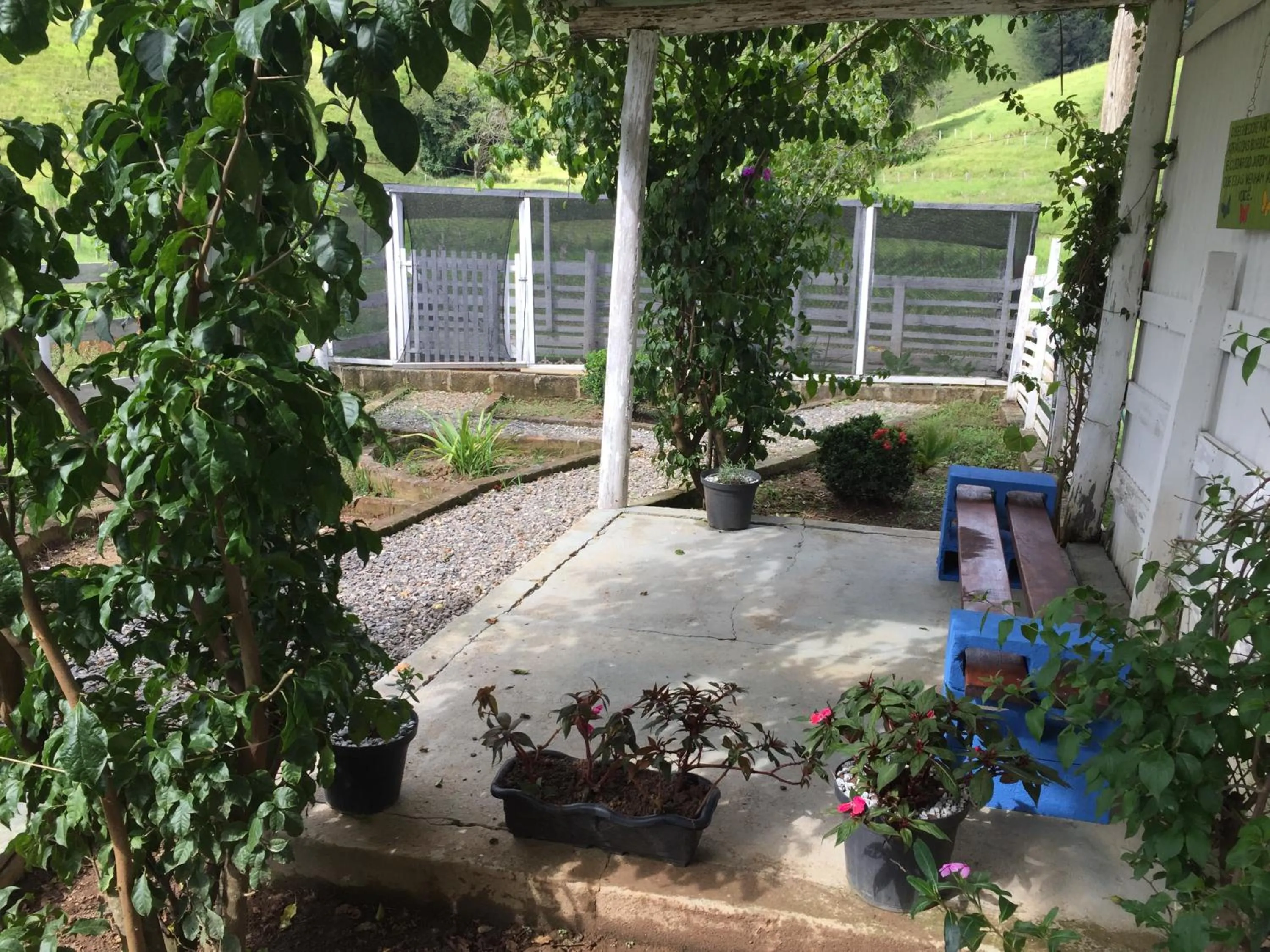 Fazenda Chico Pereira