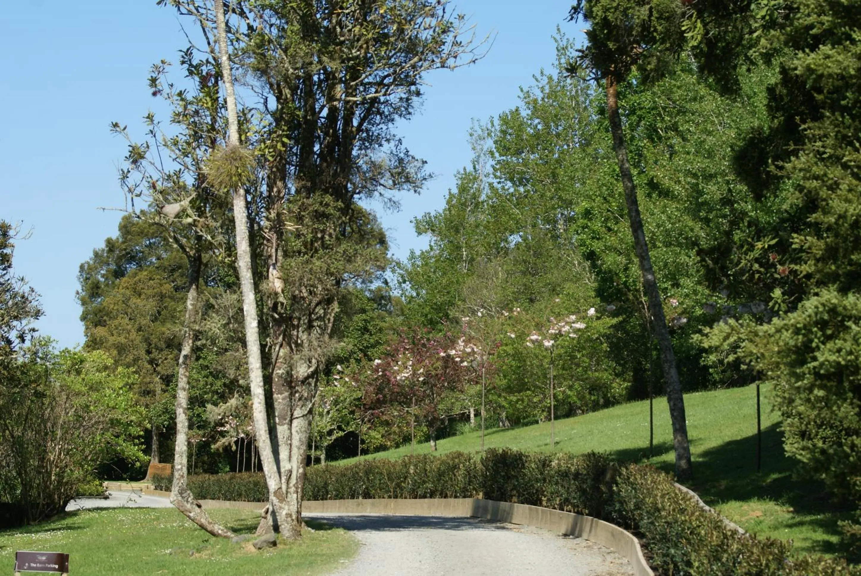 Garden in Woodhouse Mountain Lodge