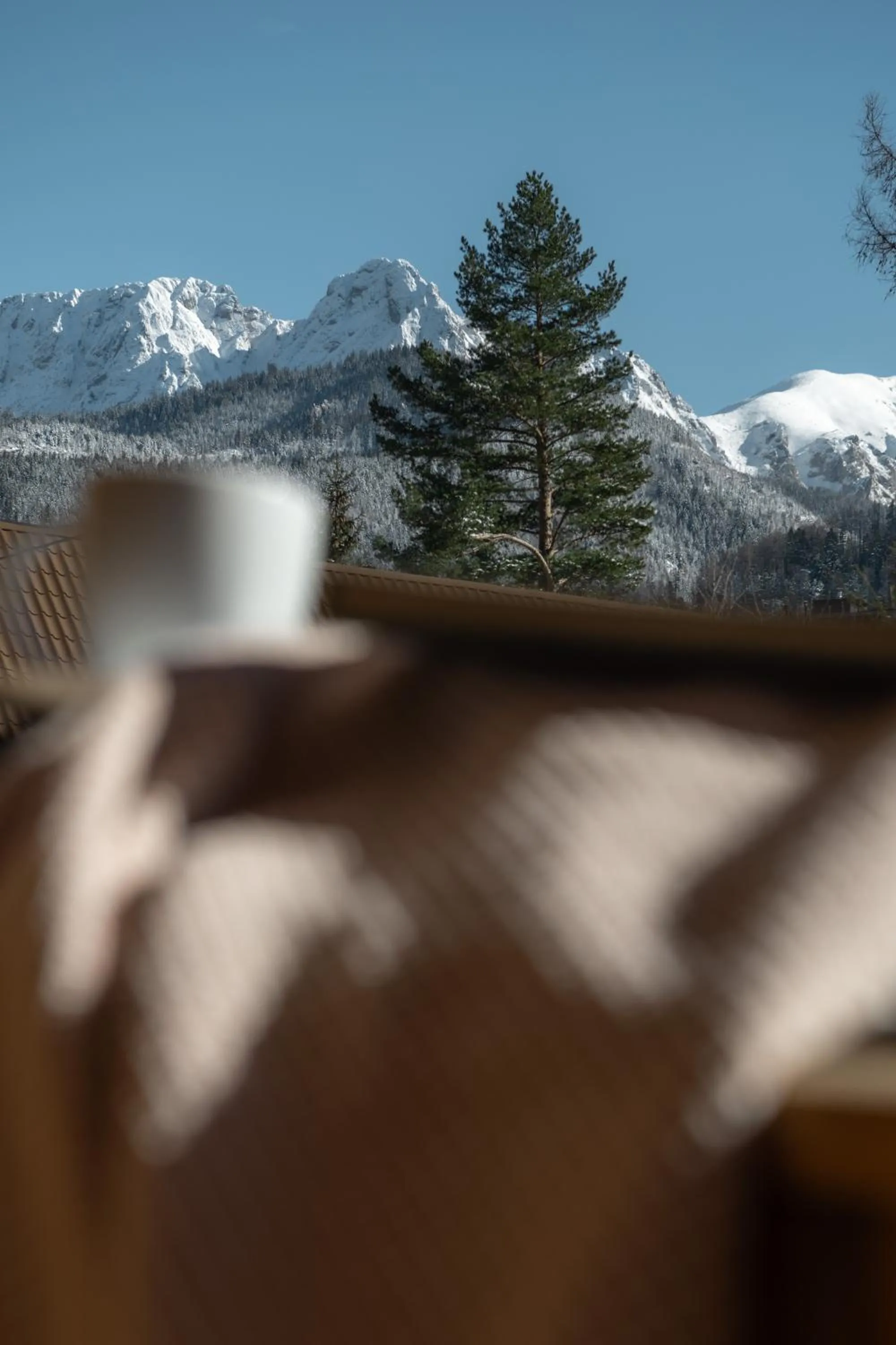 Natural landscape in Zakątek Pod Smrekami