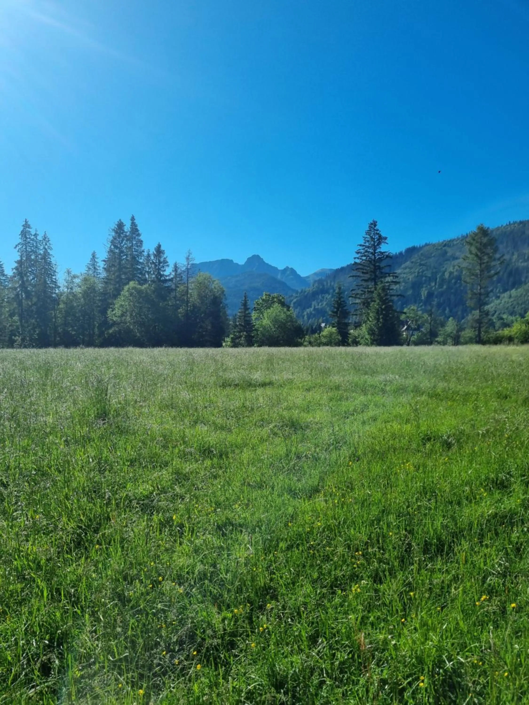 Natural landscape in Zakątek Pod Smrekami