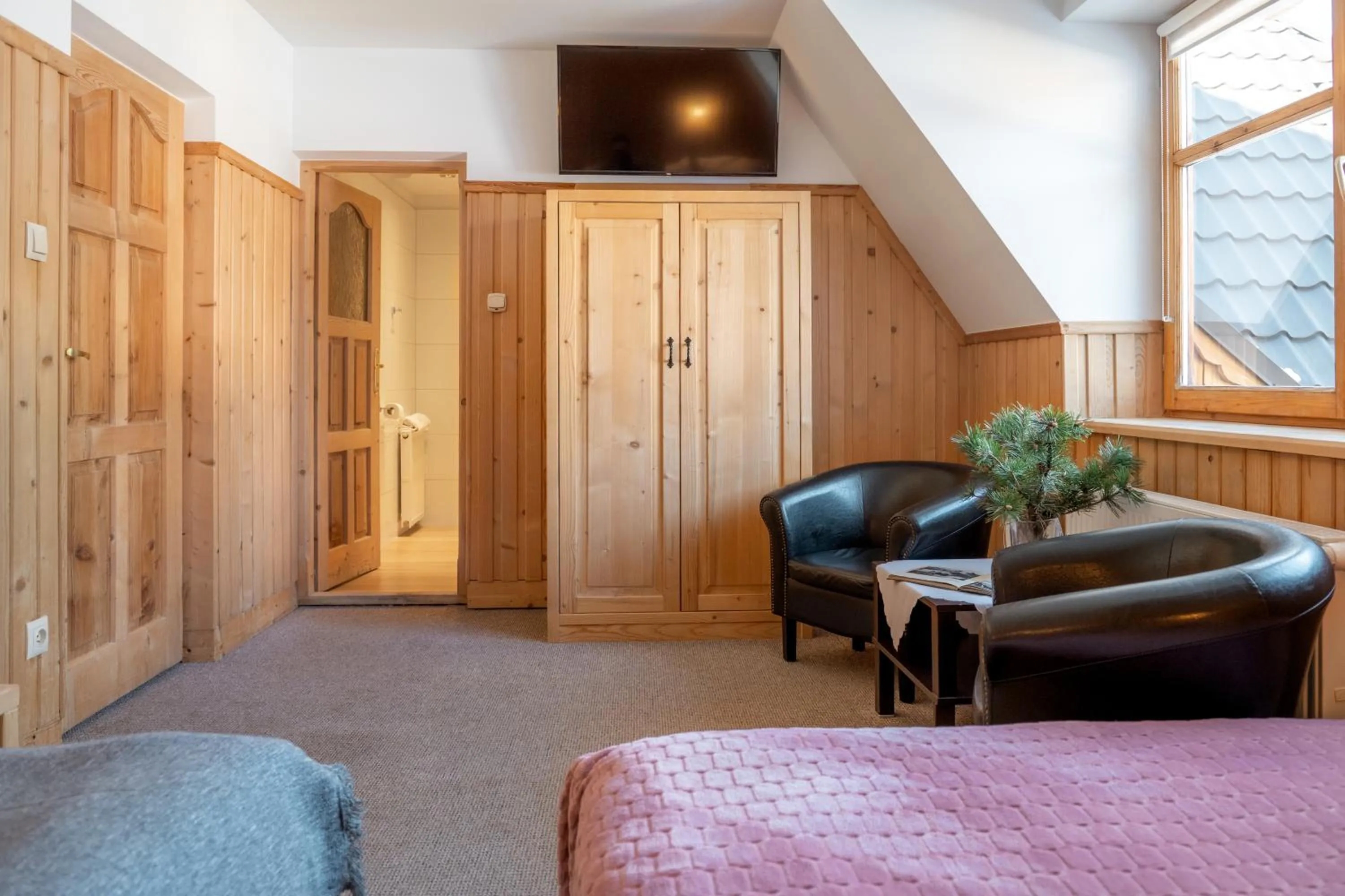 TV and multimedia in Zakątek Pod Smrekami