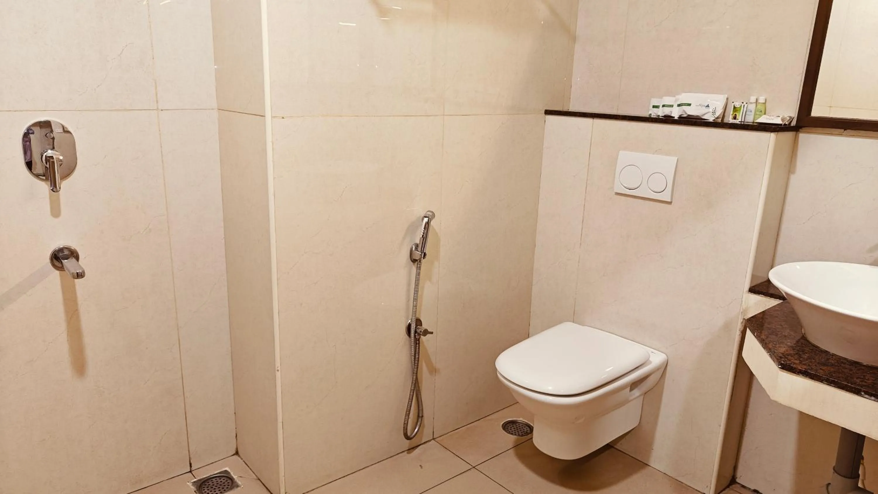 Toilet in Alps Residency - A Bergamont Hotel, Krishnagiri