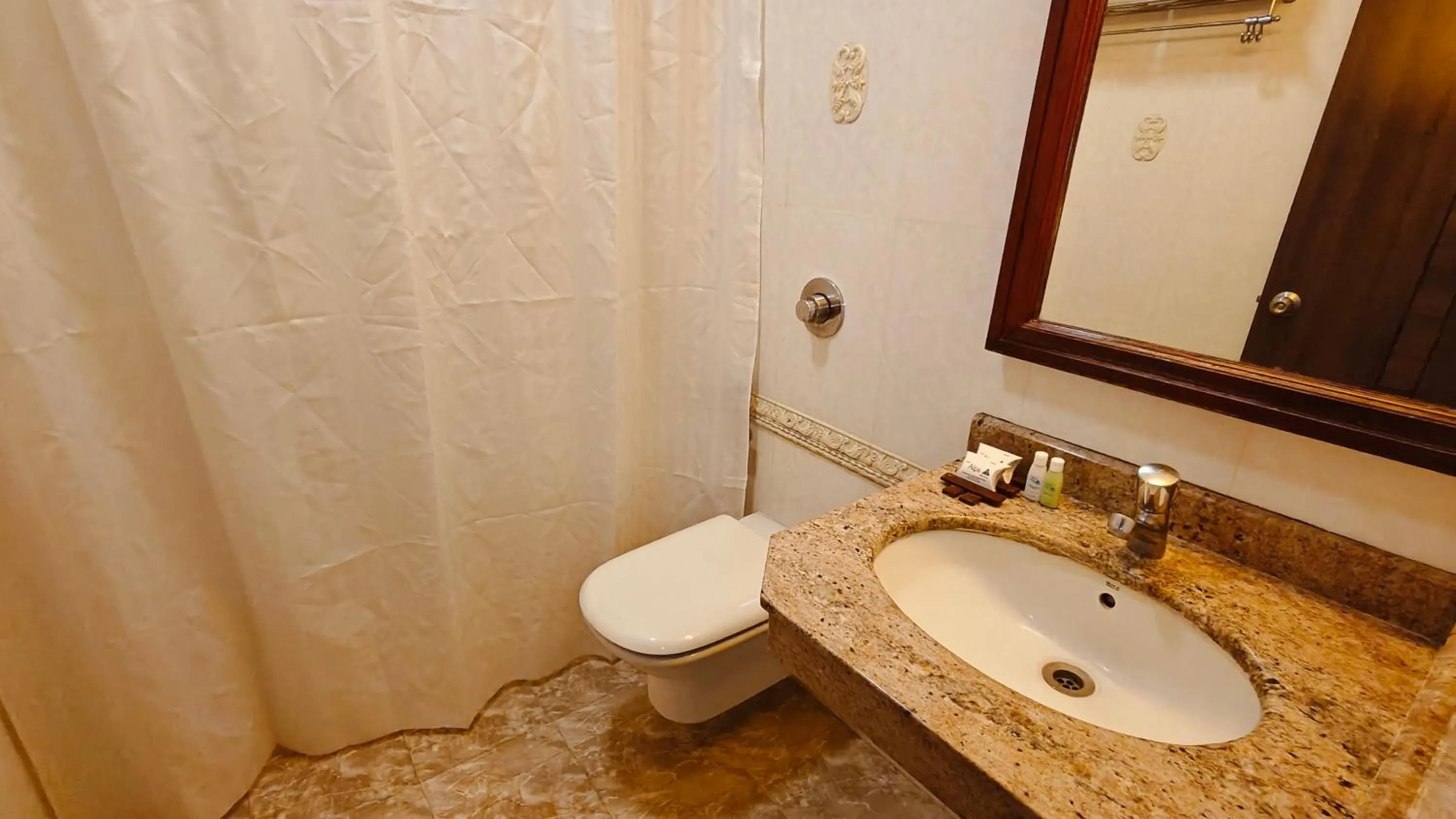 Toilet in Alps Residency - A Bergamont Hotel, Krishnagiri