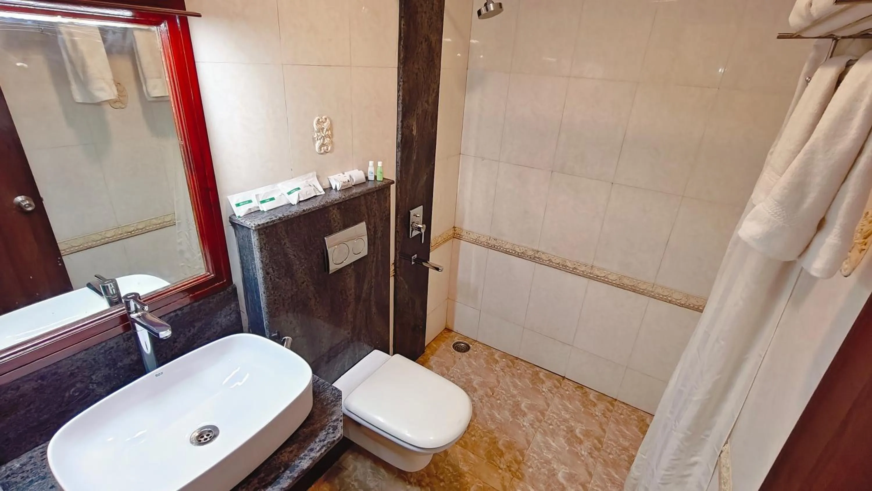 Toilet in Alps Residency - A Bergamont Hotel, Krishnagiri