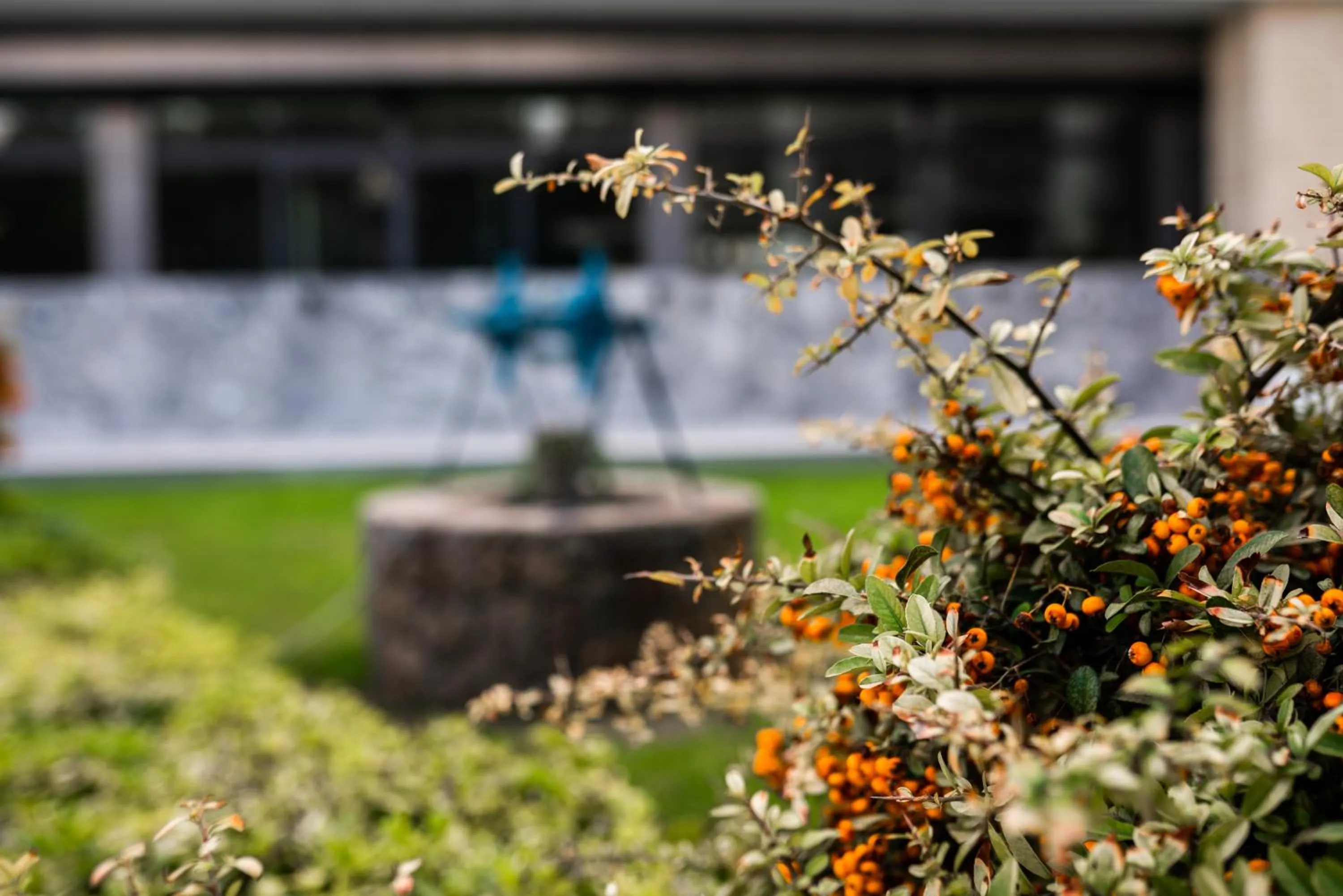 Garden in Hotel Pia Bella