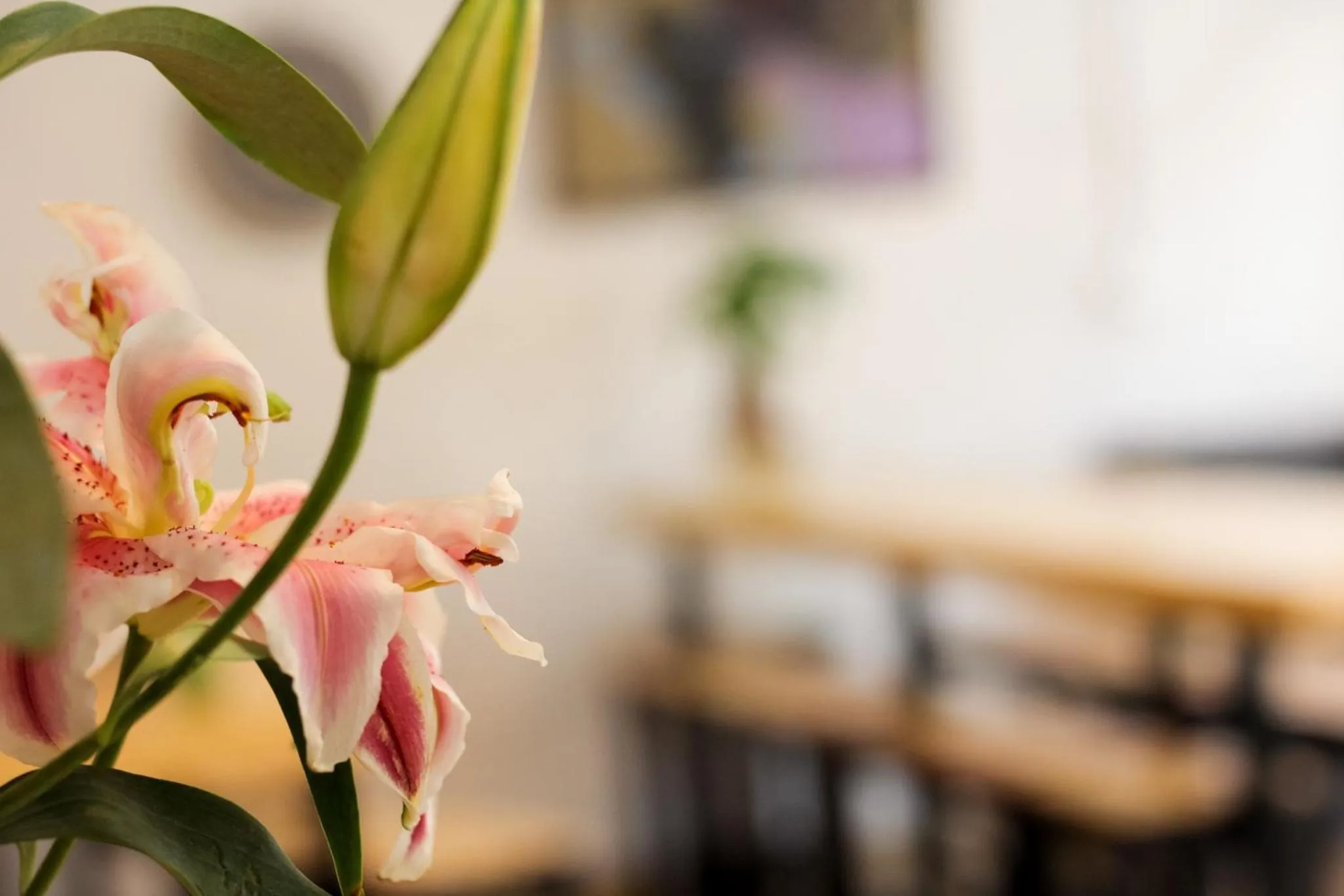 Decorative detail in AROMA Ha Long Hotel
