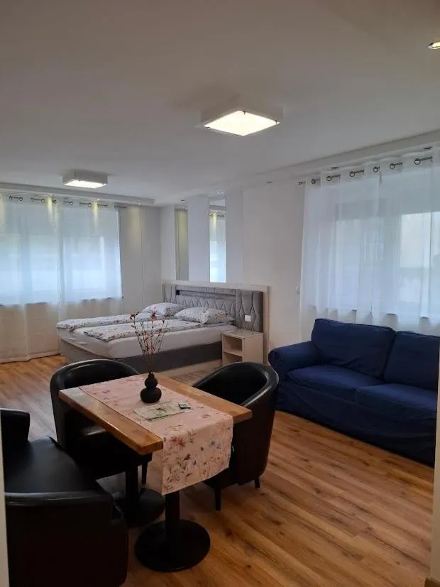 Vila Ema Apartments and Rooms