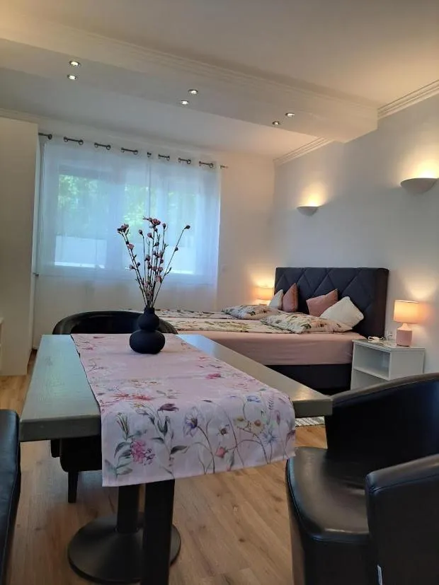 Vila Ema Apartments and Rooms