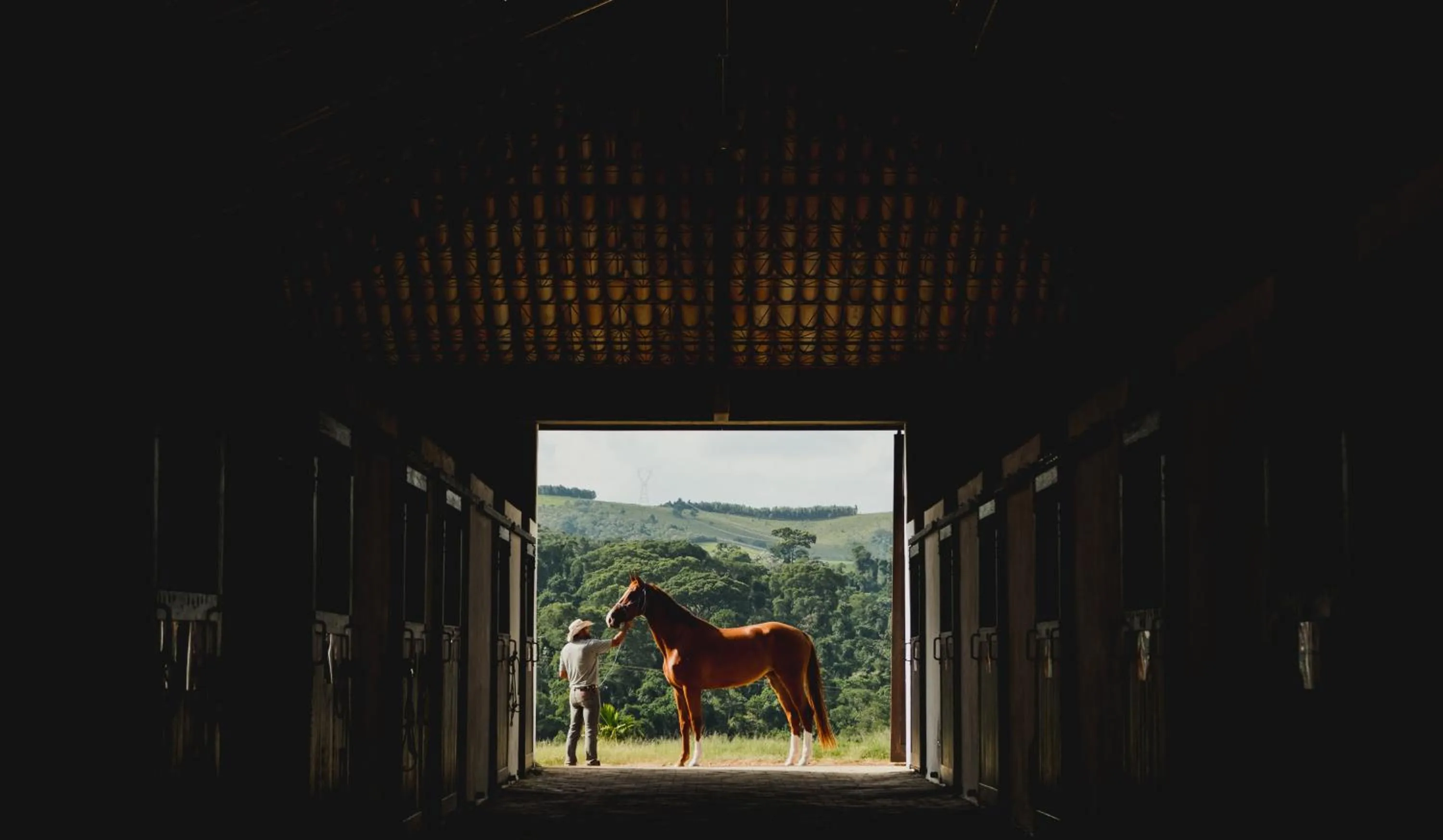 Hotel Fazenda Dona Carolina