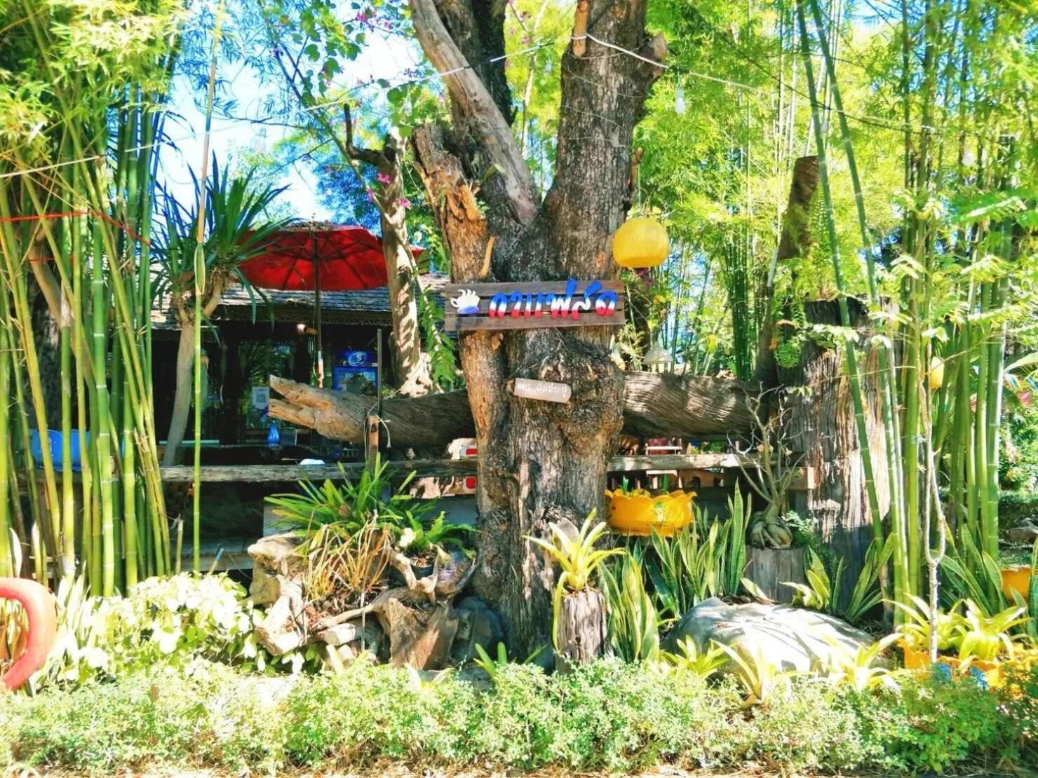 Denchai City Resort เด่นชัยซิตี้ รีสอร์ท