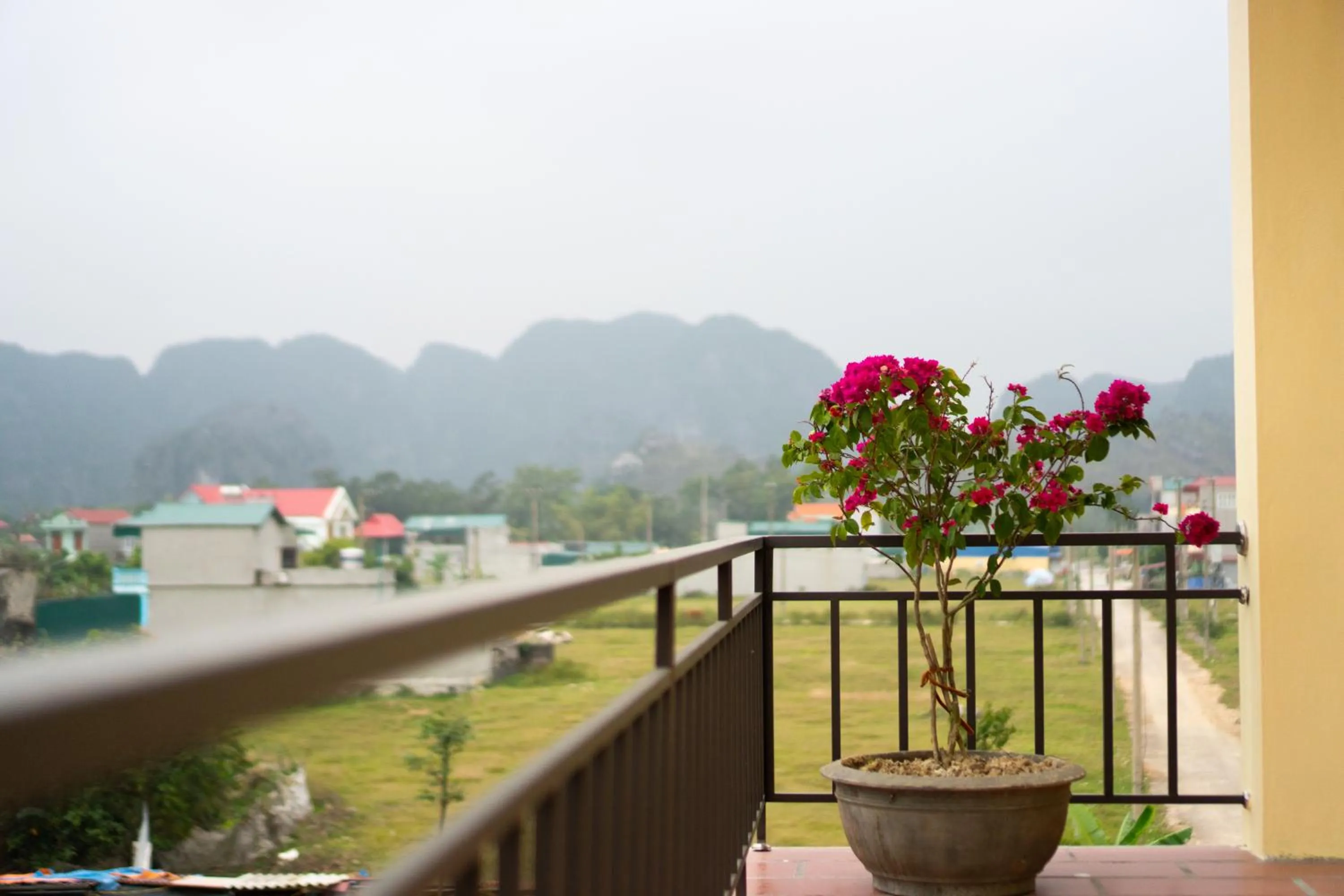 Sunny Trang An homestay