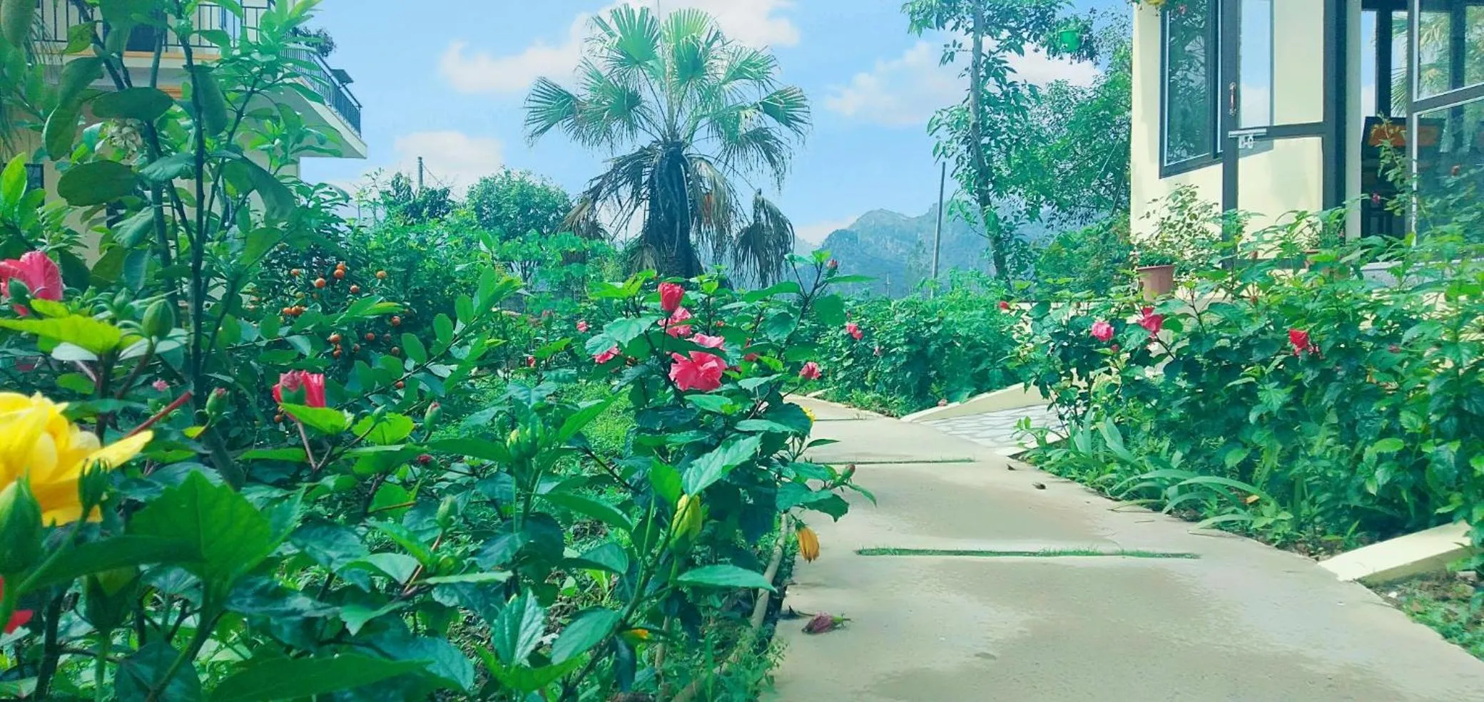 Sunny Trang An homestay