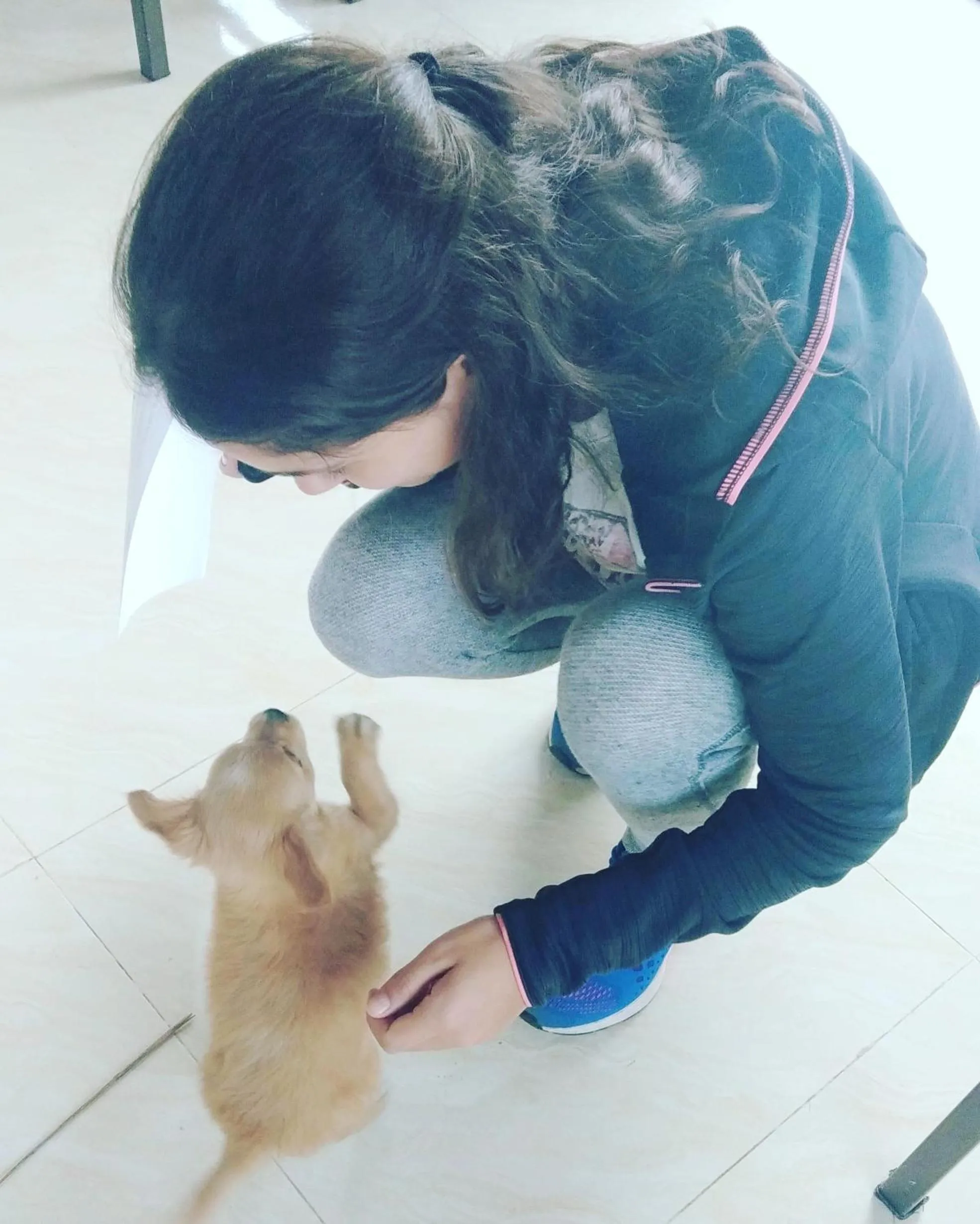 Sunny Trang An homestay