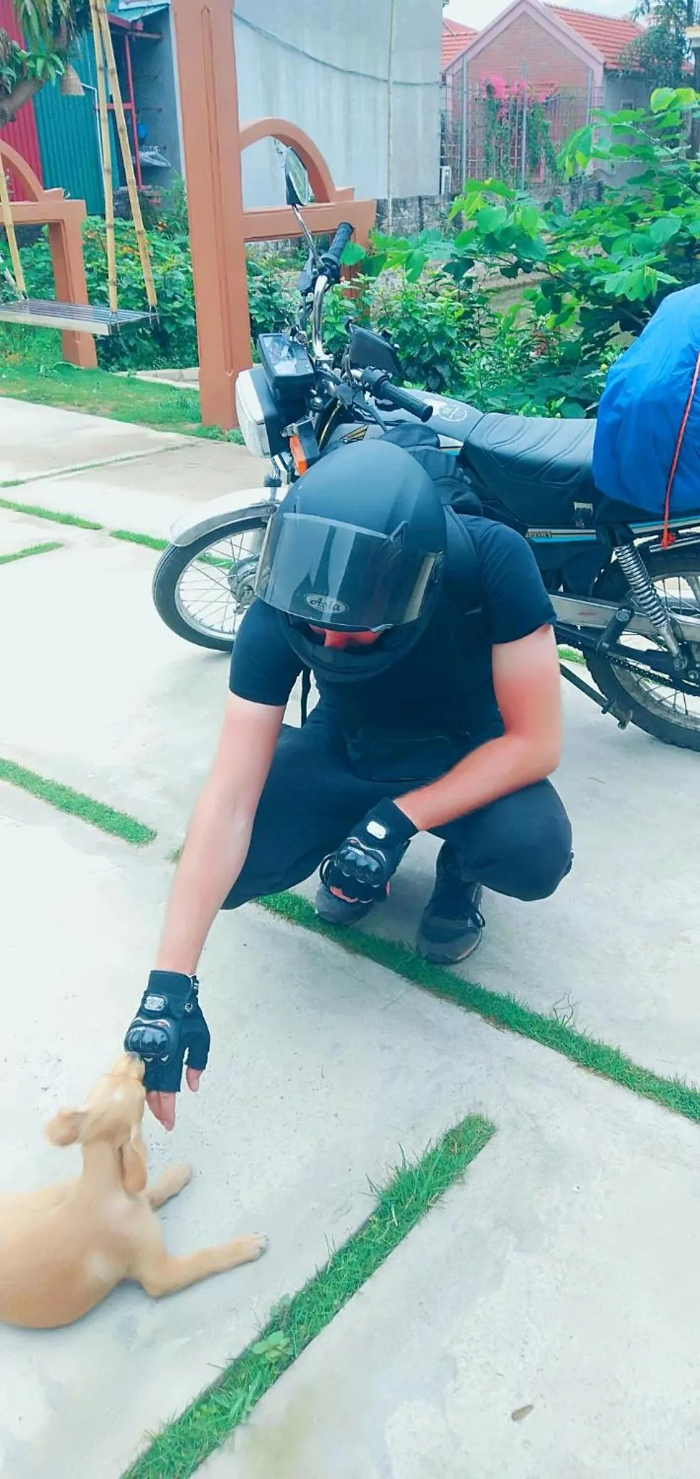 Sunny Trang An homestay